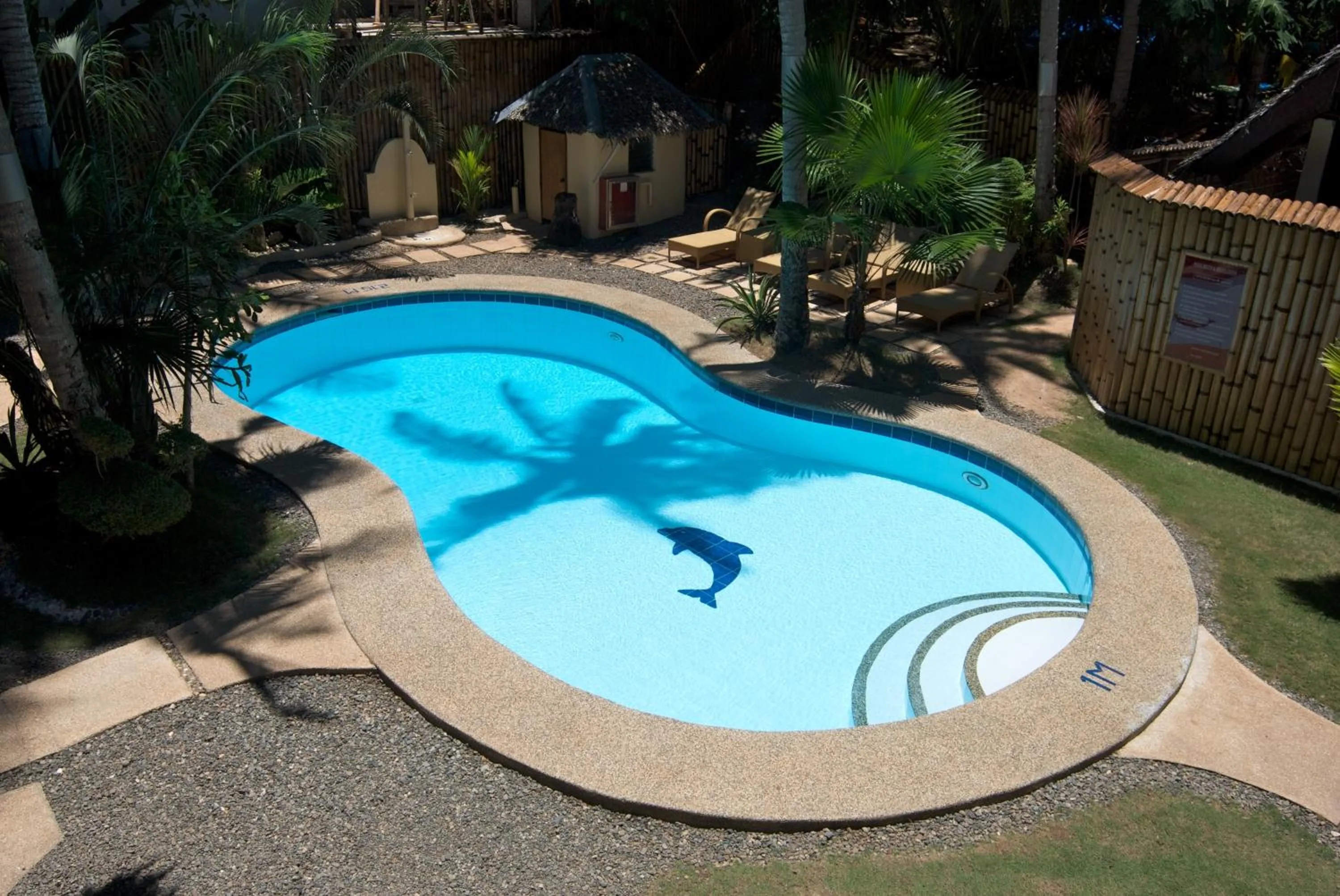 Swimming pool in Alona Vida Beach Resort