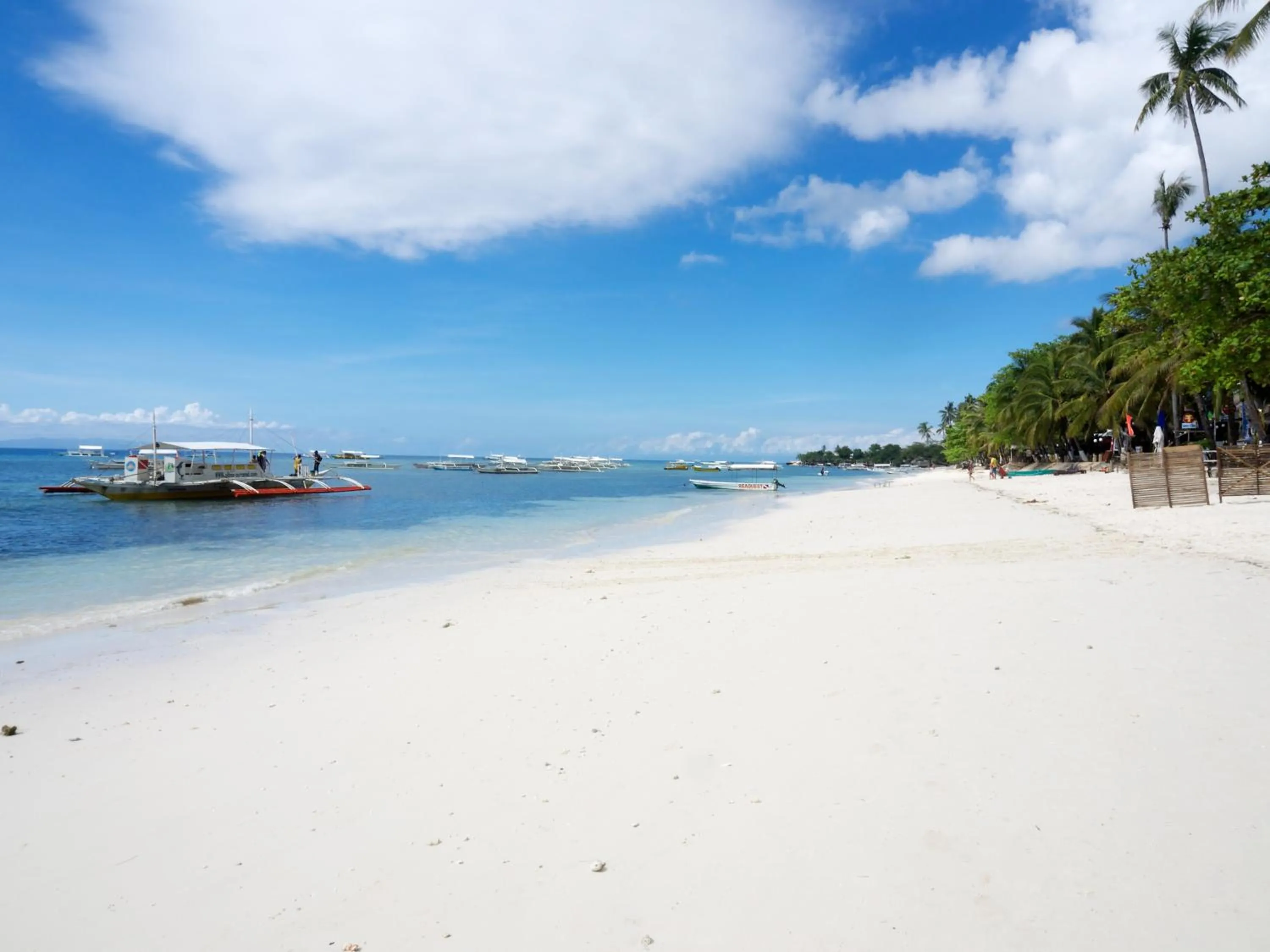 Beach in Alona Vida Beach Resort