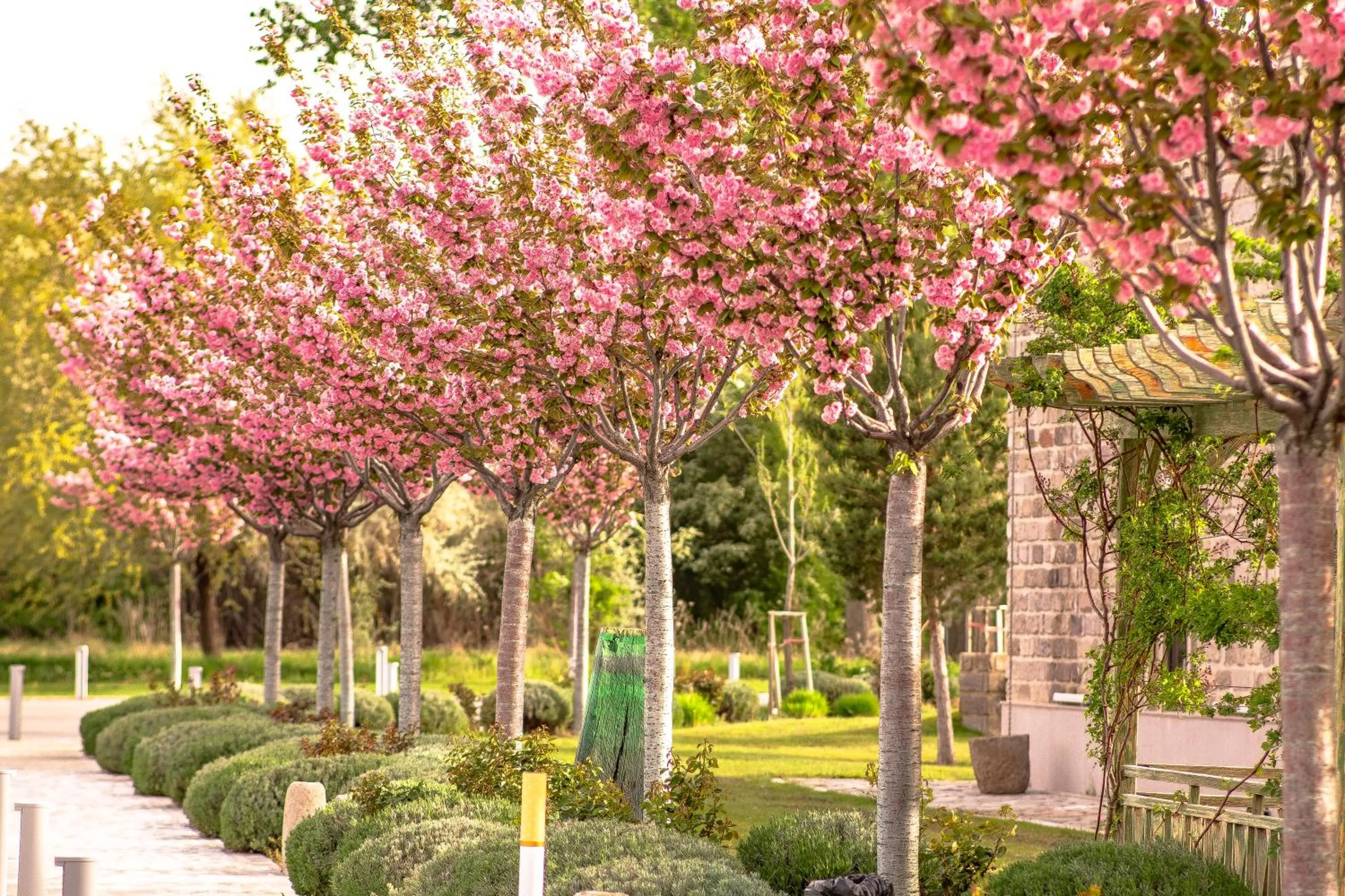 Natural landscape in AJWA Cappadocia - Preferred Hotels Legend Collection