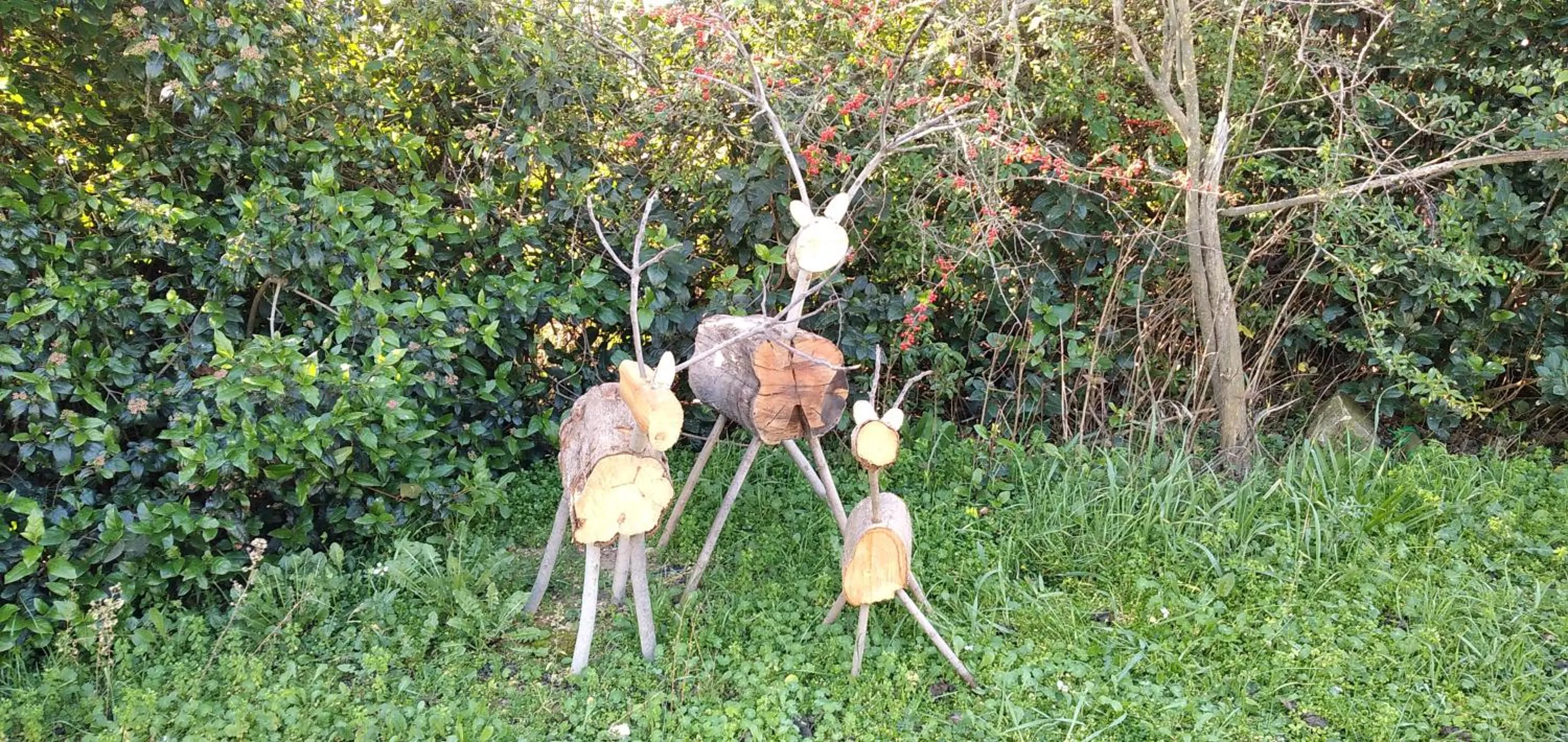 Garden in L'Esperluette en Camargue