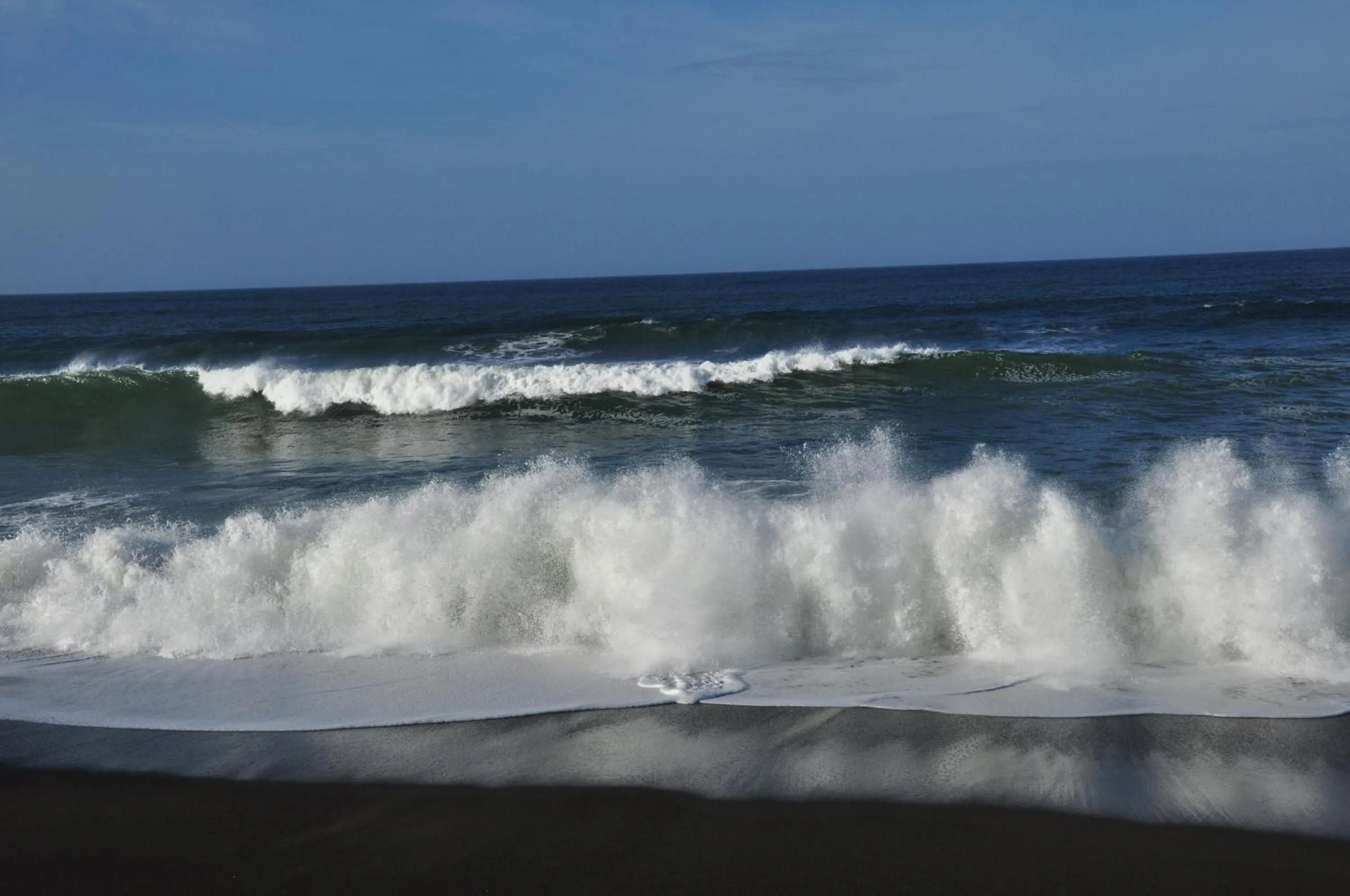 Natural landscape in PACIFIC DRIFT San Francisco Pacifica