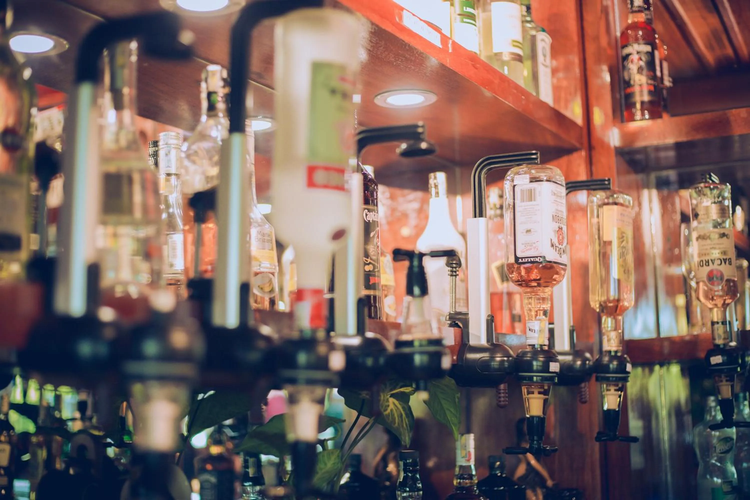 Lounge or bar in Phong Nha Lake House Resort