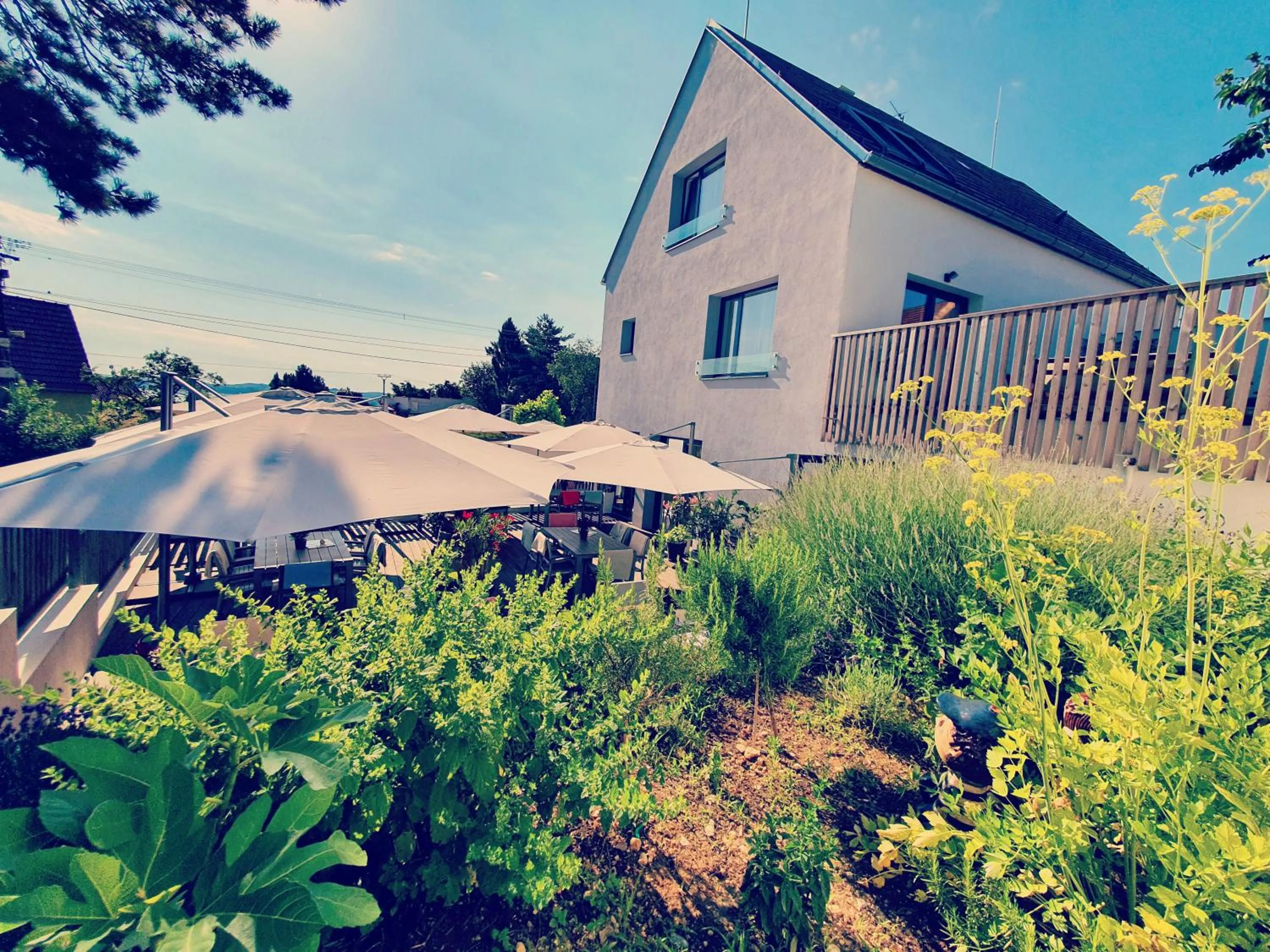 Property building in Sousedi Pavlov