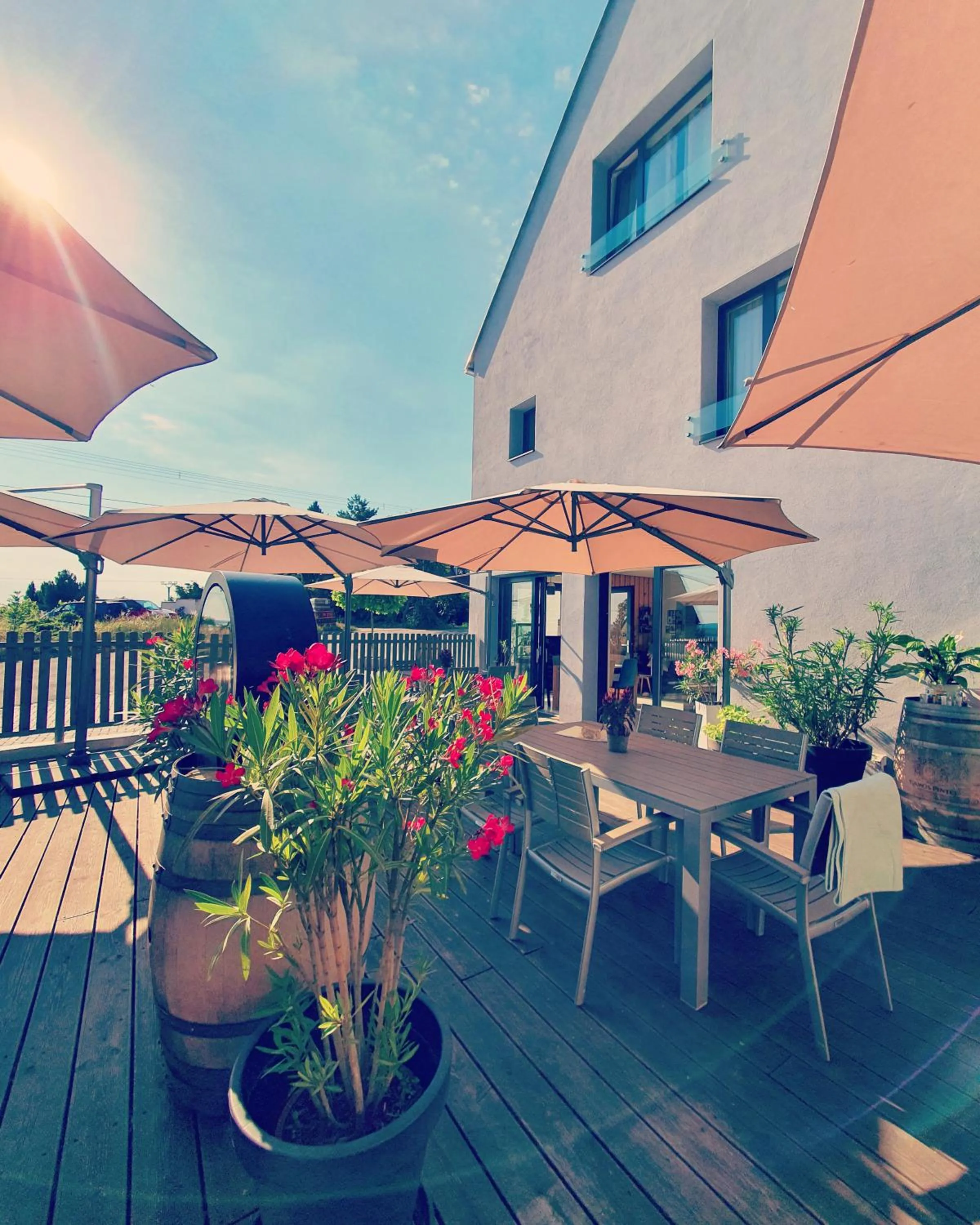 View (from property/room) in Sousedi Pavlov