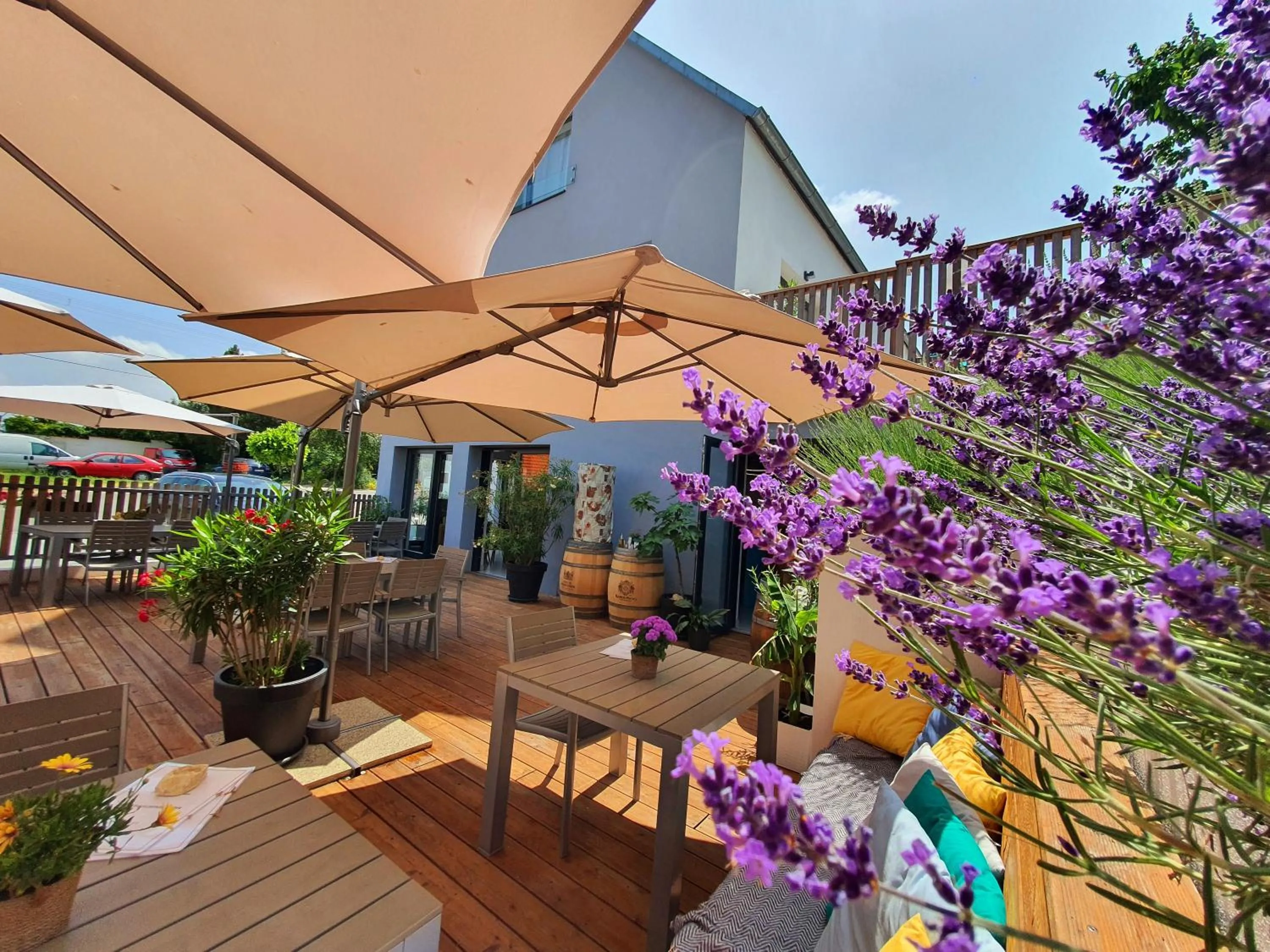 Day in Sousedi Pavlov