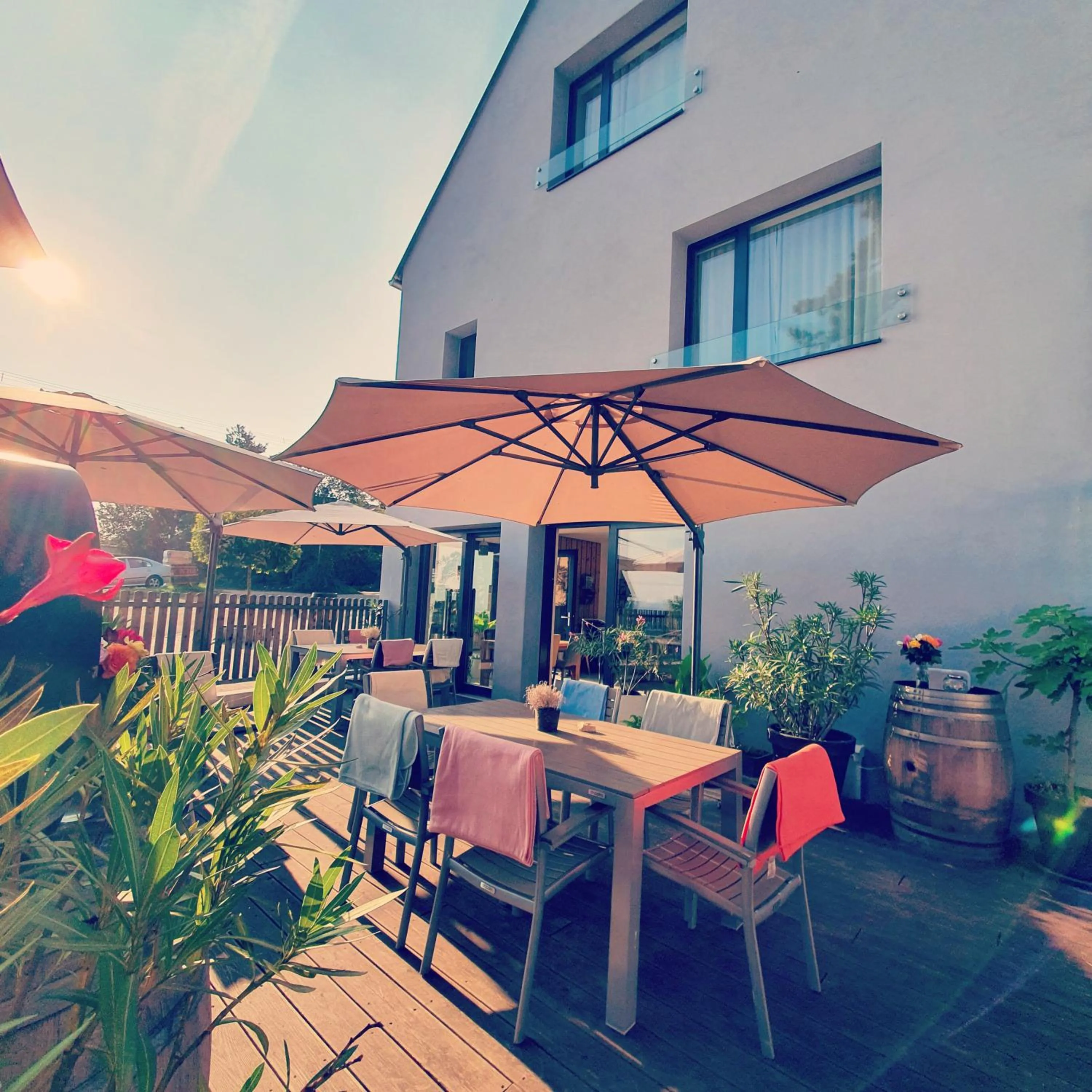 View (from property/room) in Sousedi Pavlov