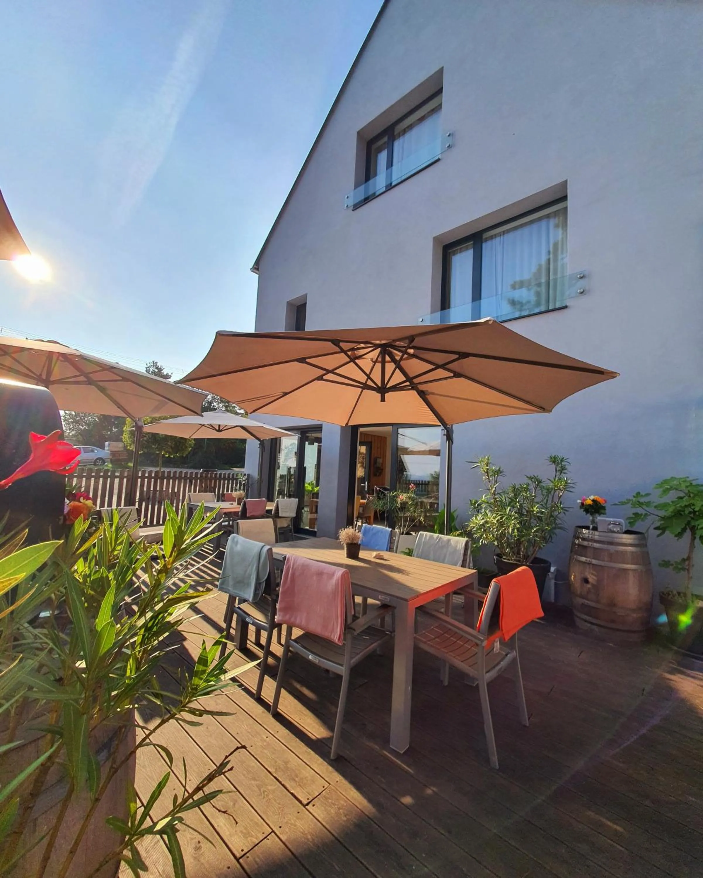 Day in Sousedi Pavlov