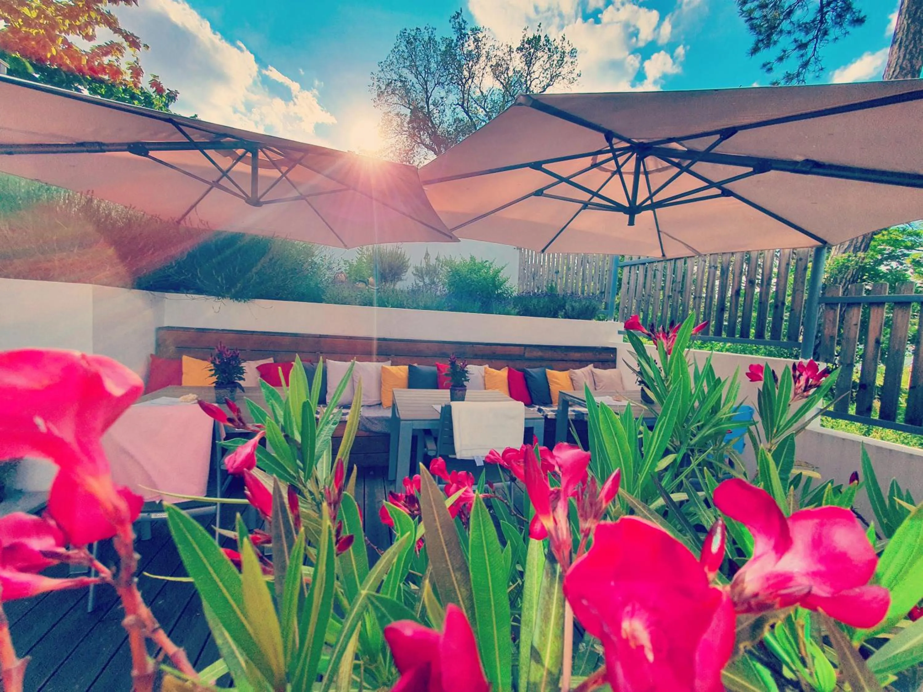 Natural landscape in Sousedi Pavlov