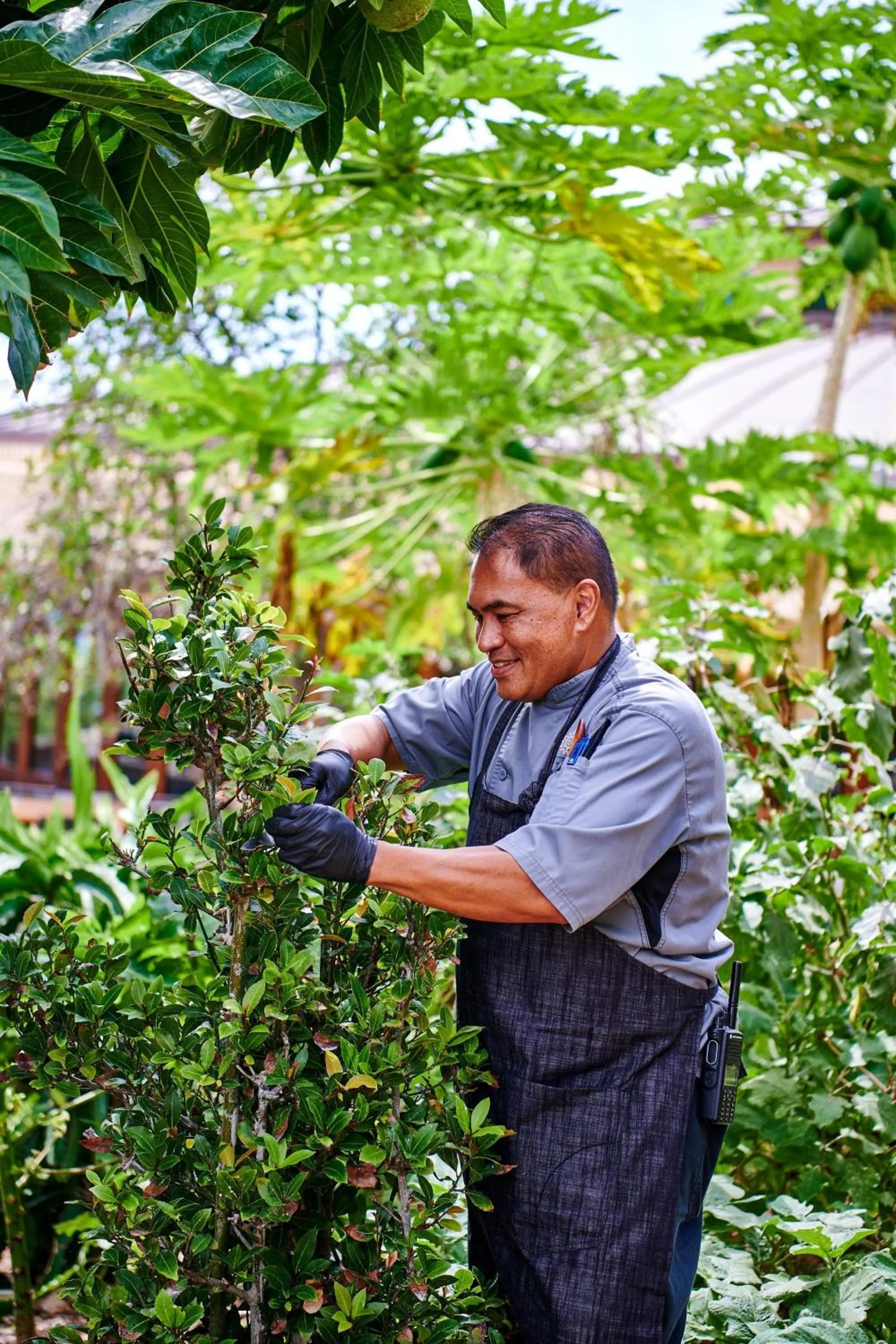 Restaurant/places to eat in The Westin Hapuna Beach Resort