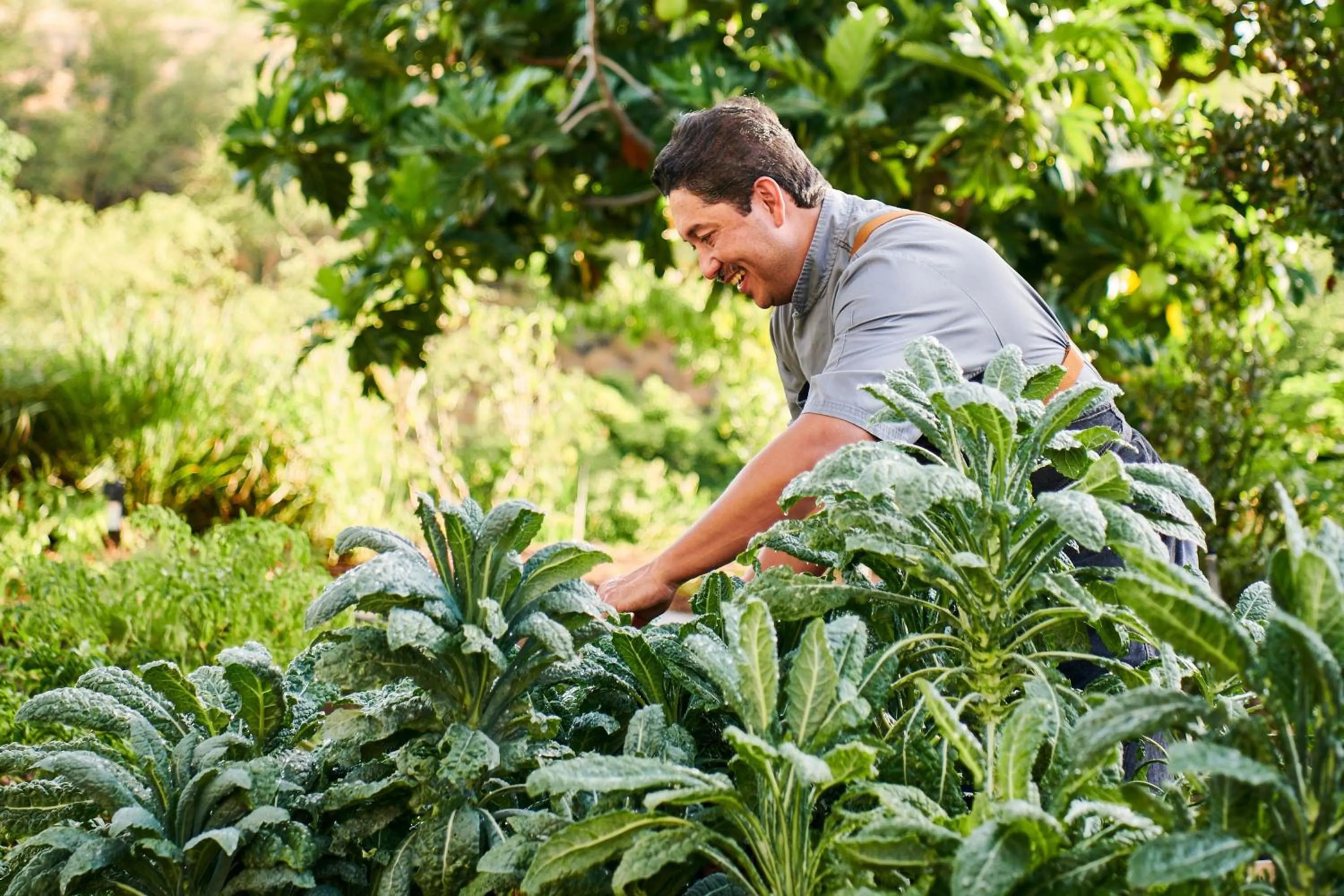 Other in The Westin Hapuna Beach Resort