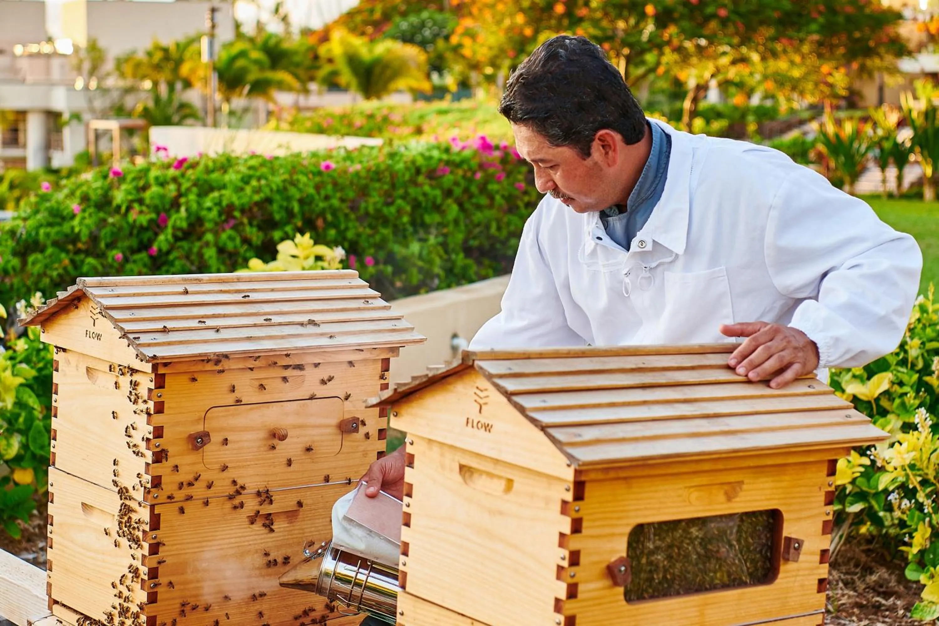 Other in The Westin Hapuna Beach Resort