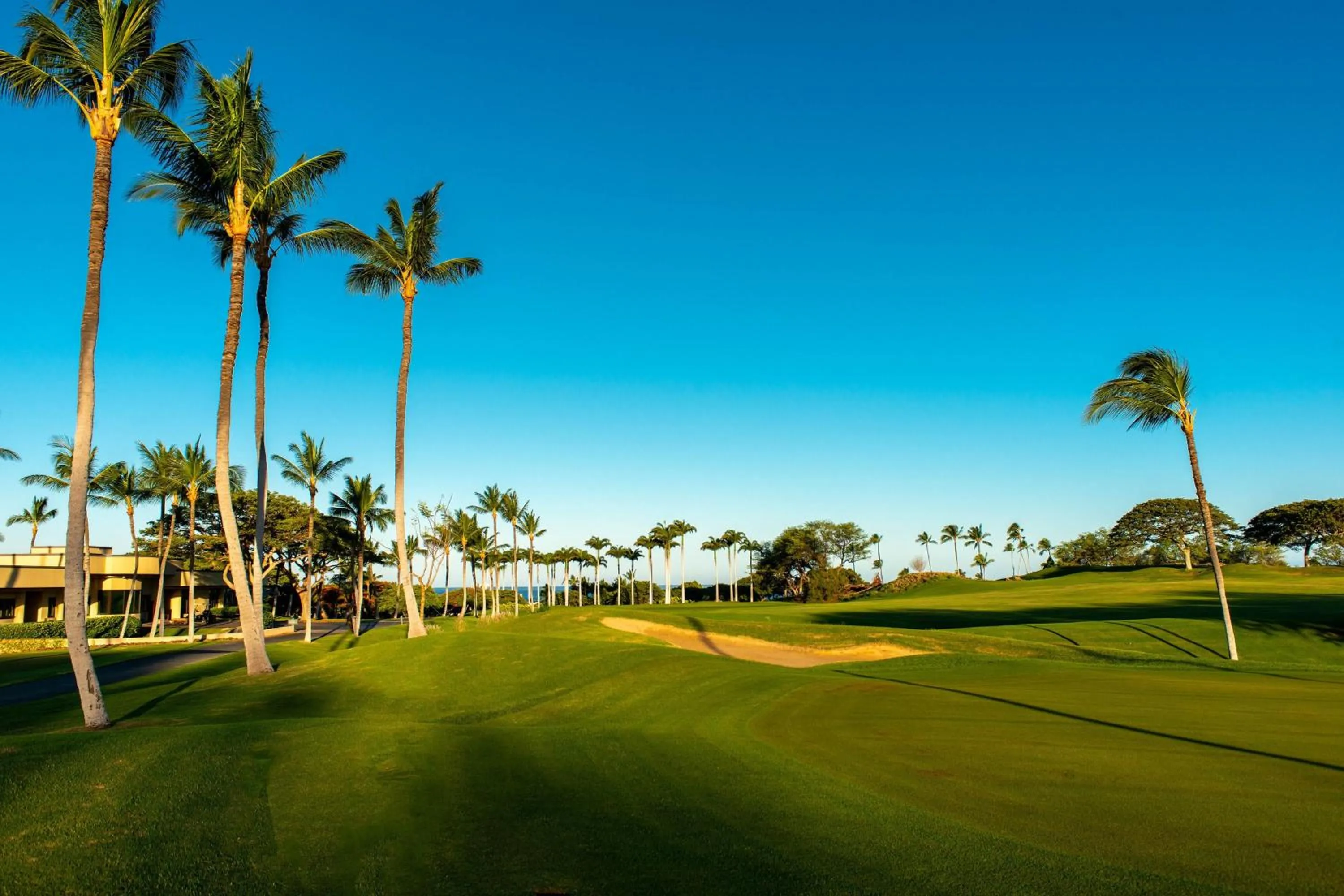 Other in The Westin Hapuna Beach Resort