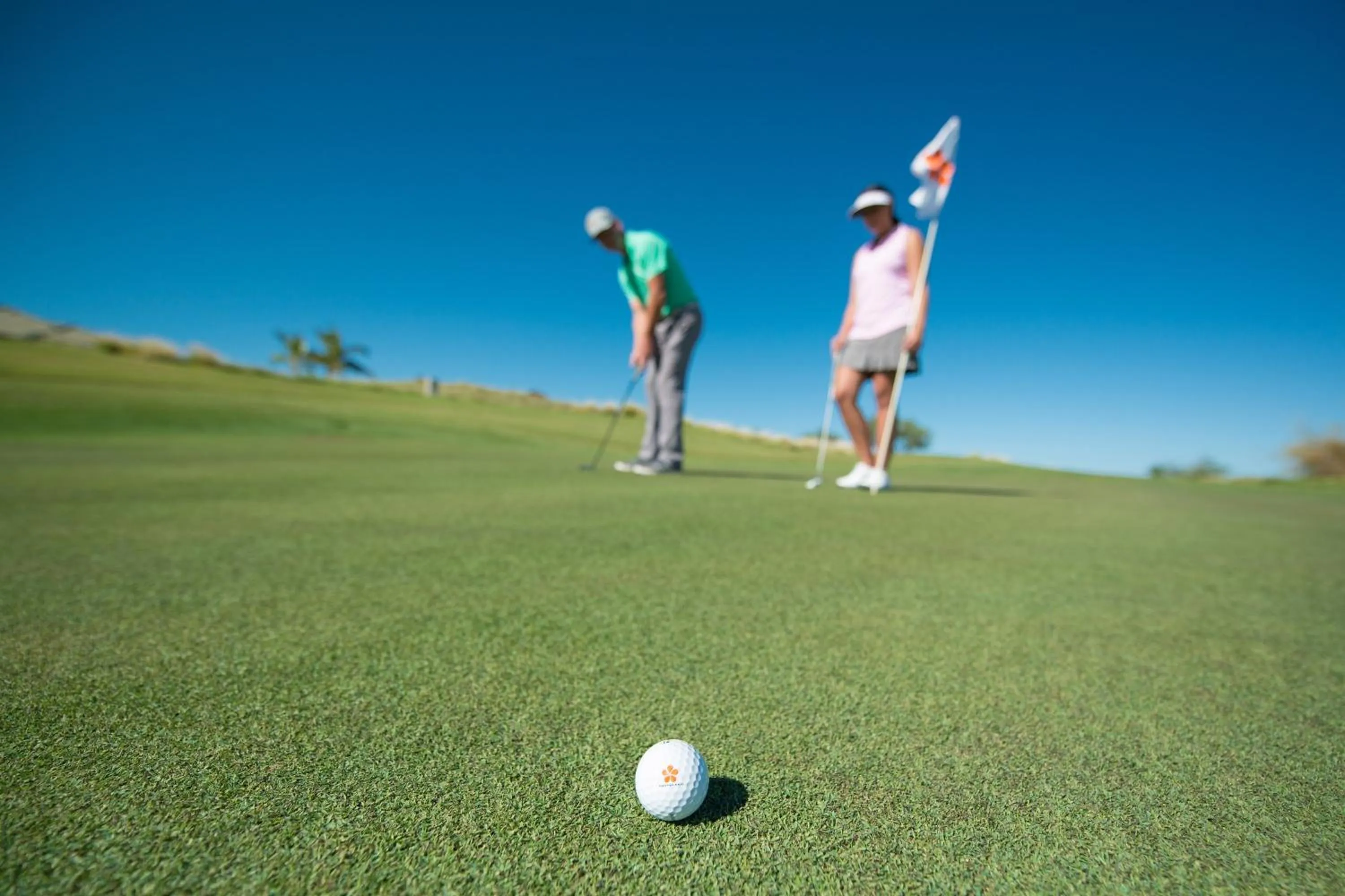 Other in The Westin Hapuna Beach Resort