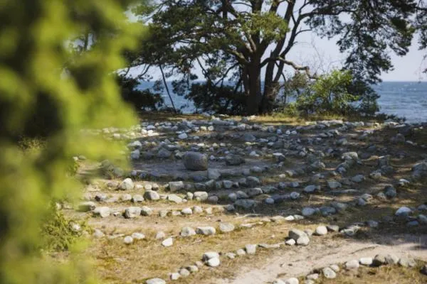 Natural landscape in Green Door Hotel