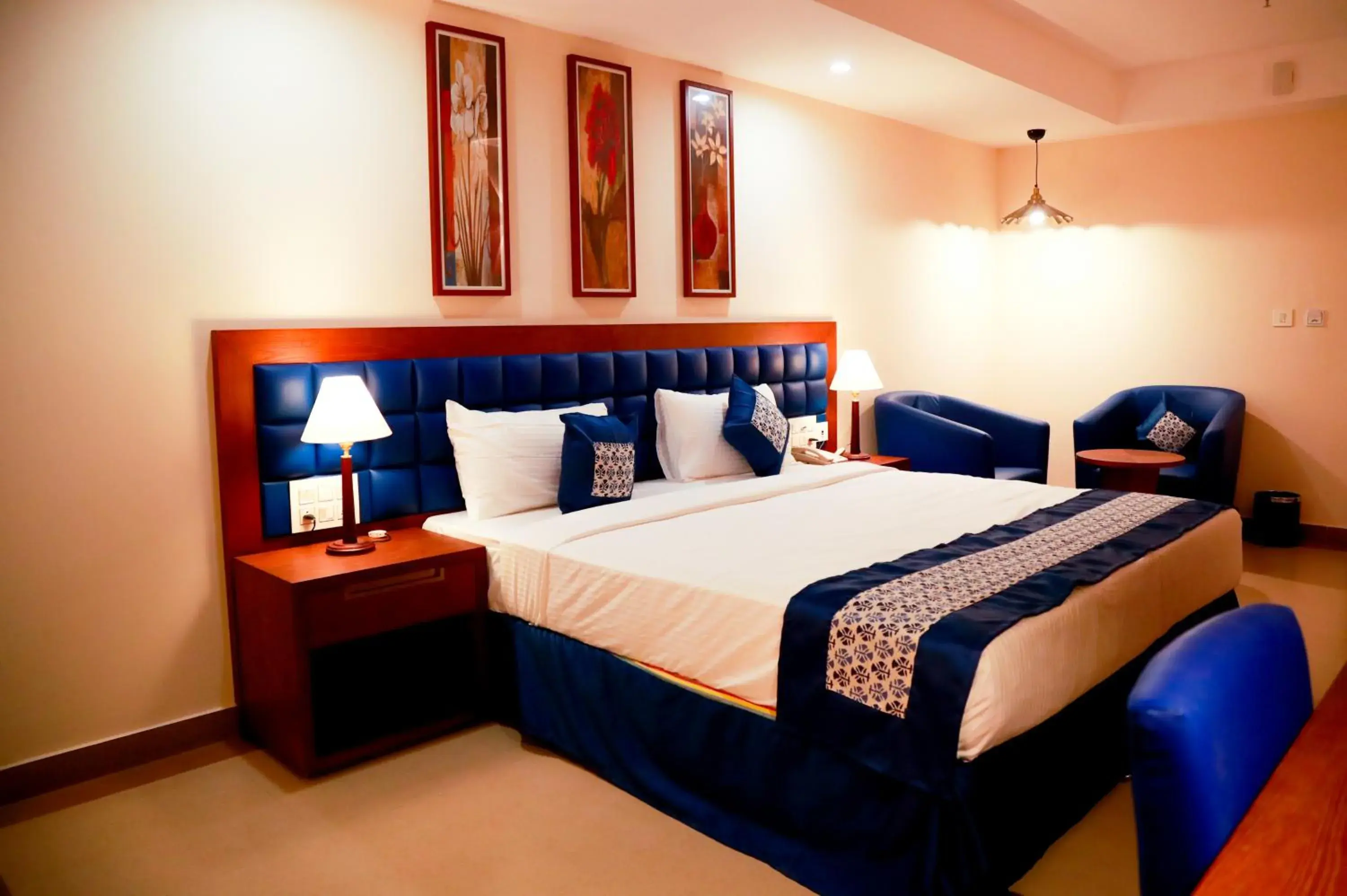 Deluxe Room - single occupancy in The Times Hotel Deluxe Room - single occupancy in The Times Hotel