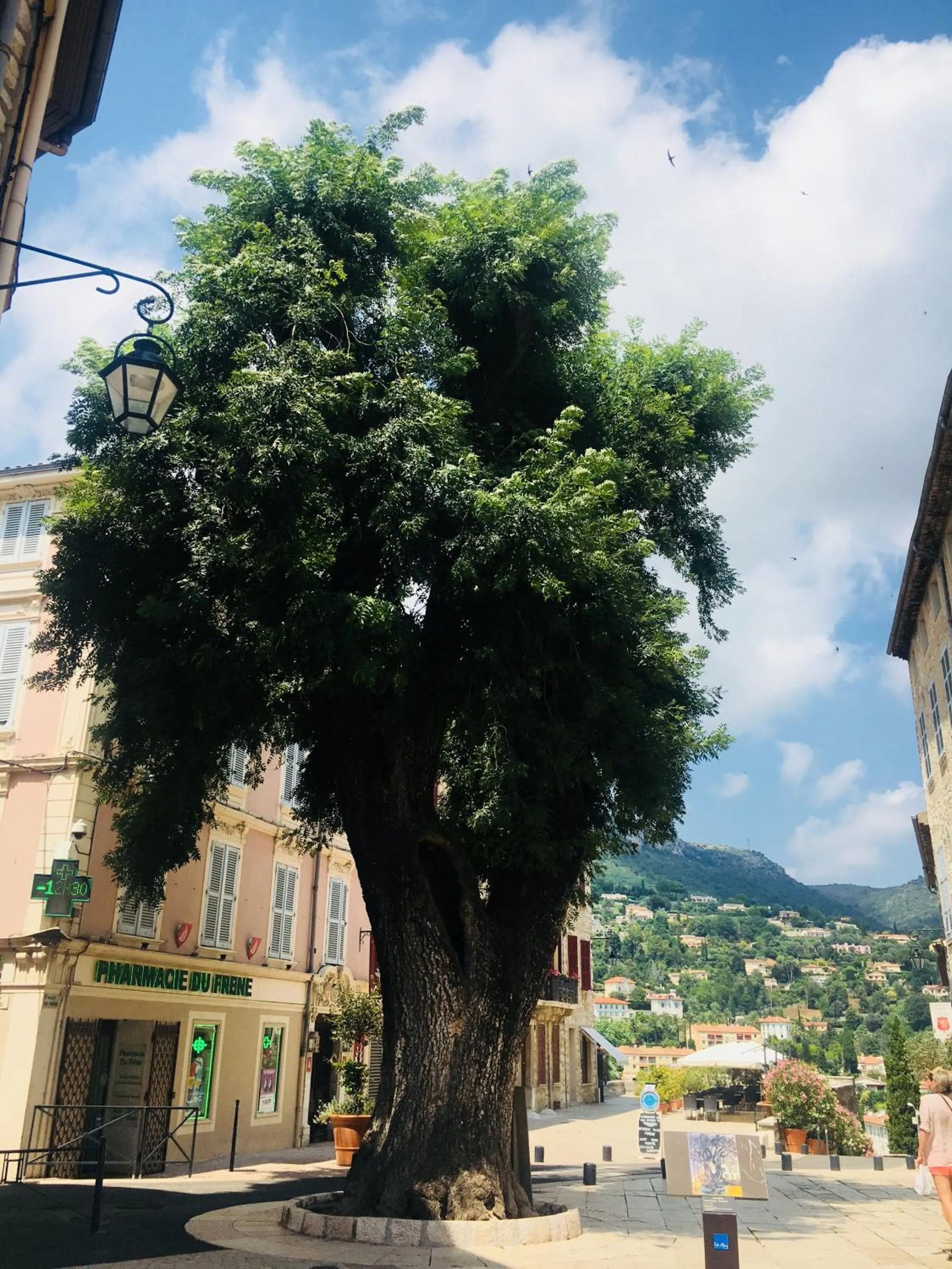 Neighbourhood in Boutique Hôtel La Victoire - Vence centre