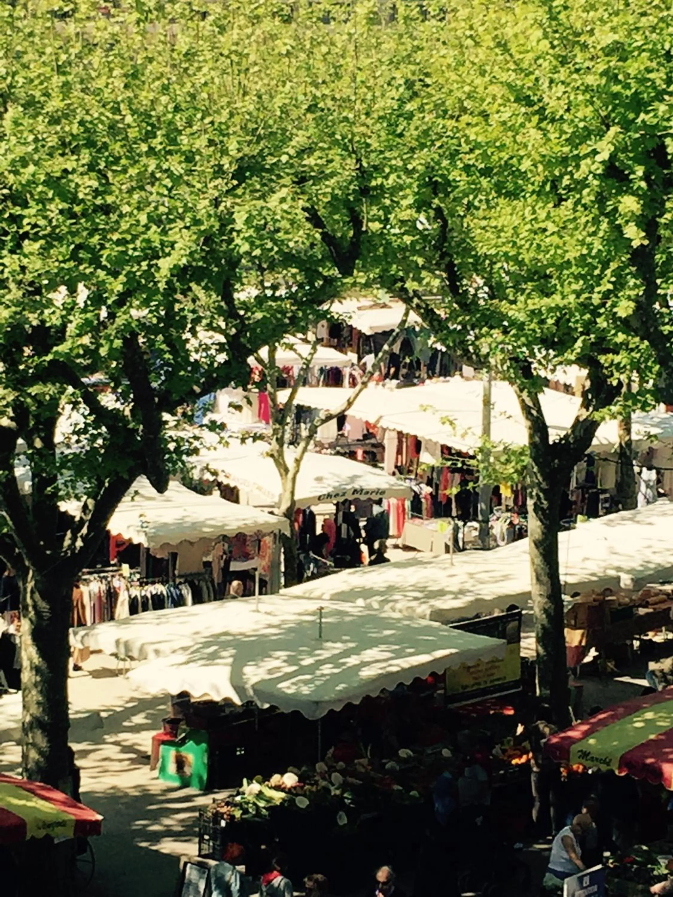 Activities in Boutique Hôtel La Victoire - Vence centre
