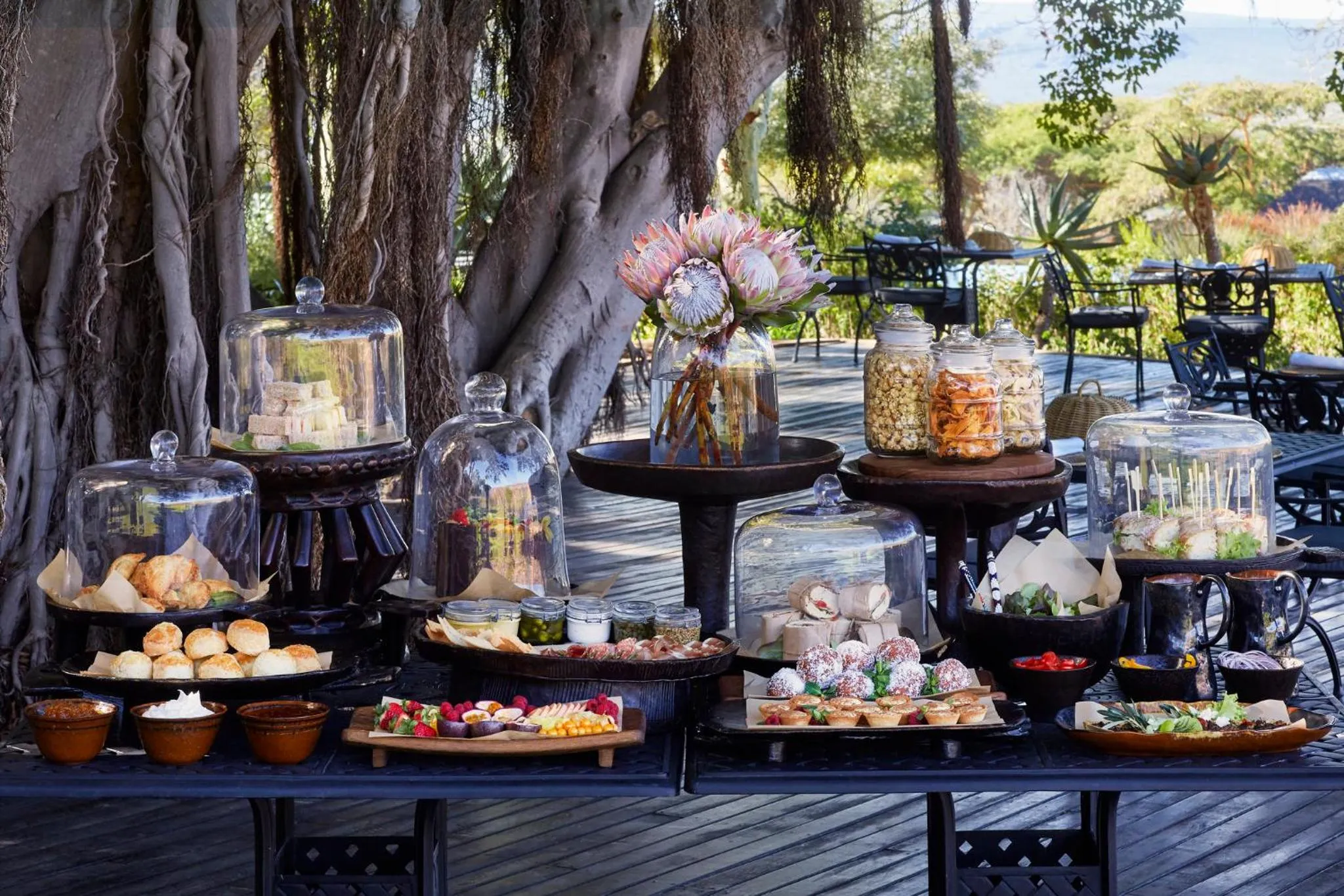 Buffet breakfast in Bushmans Kloof Wilderness Reserve and Wellness Retreat
