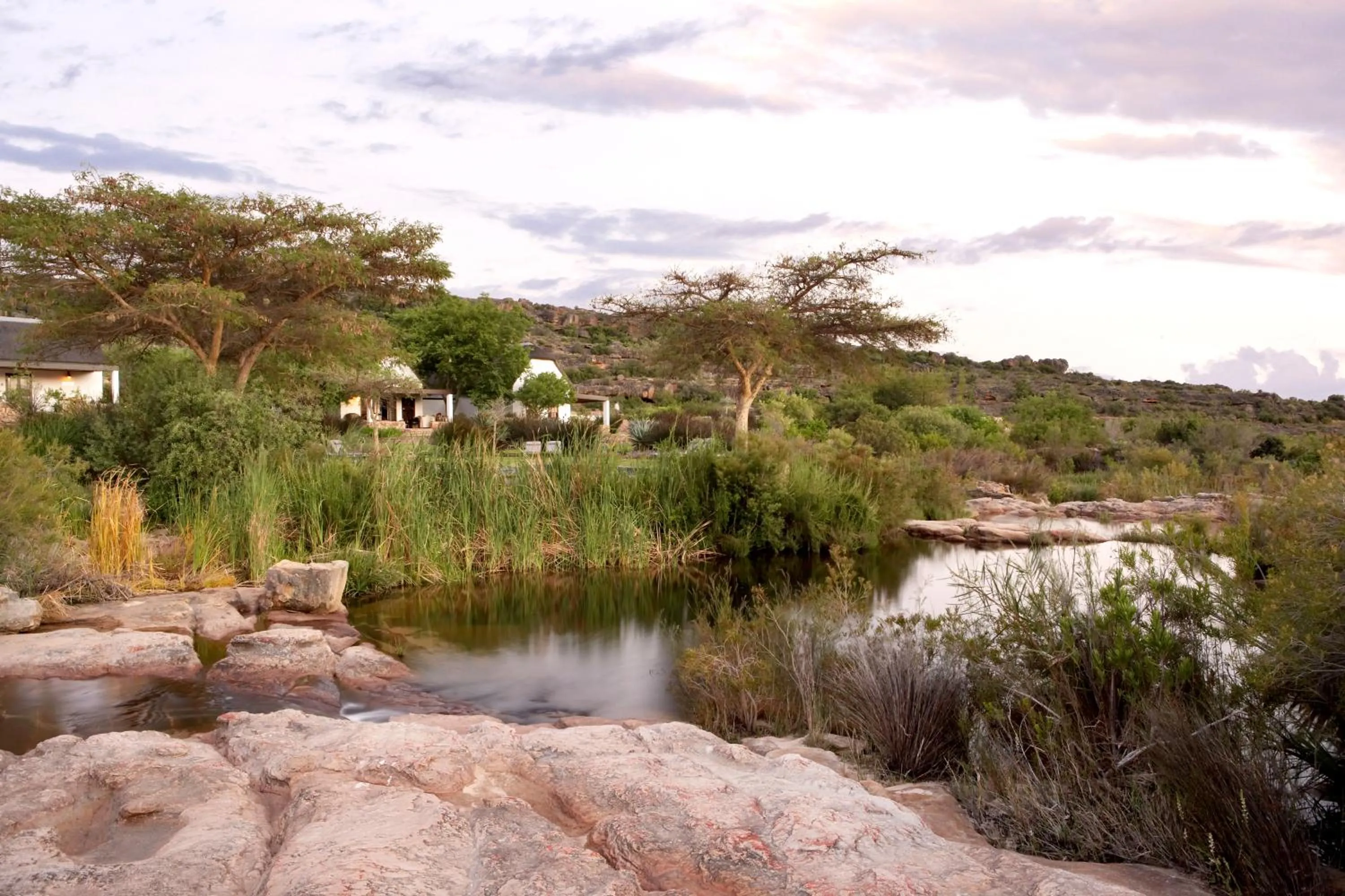 Natural landscape in Bushmans Kloof Wilderness Reserve and Wellness Retreat