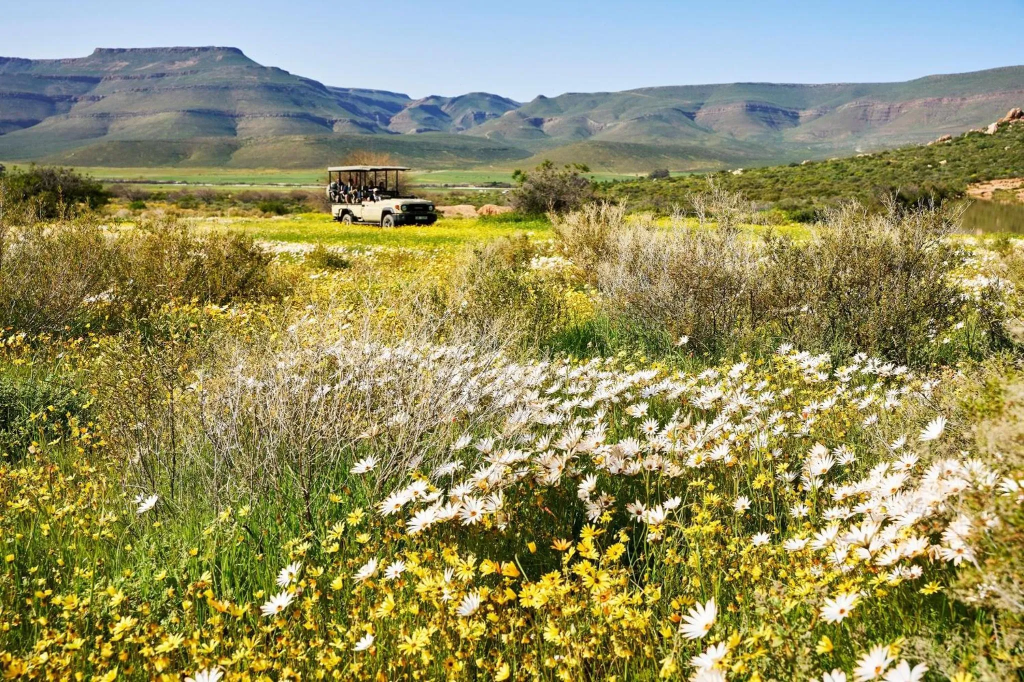 Natural landscape in Bushmans Kloof Wilderness Reserve and Wellness Retreat
