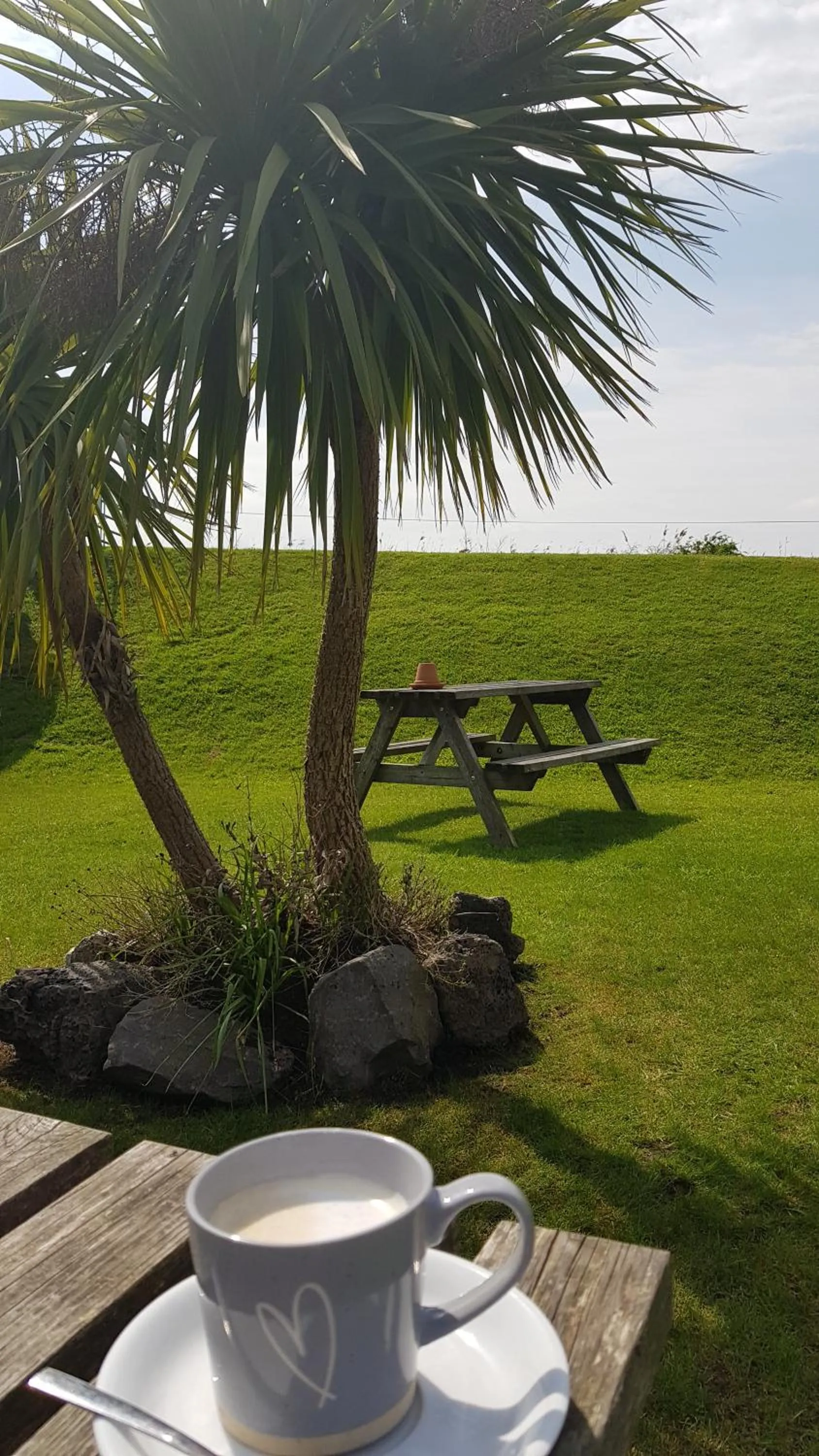 Garden in The Haven Inn Limited