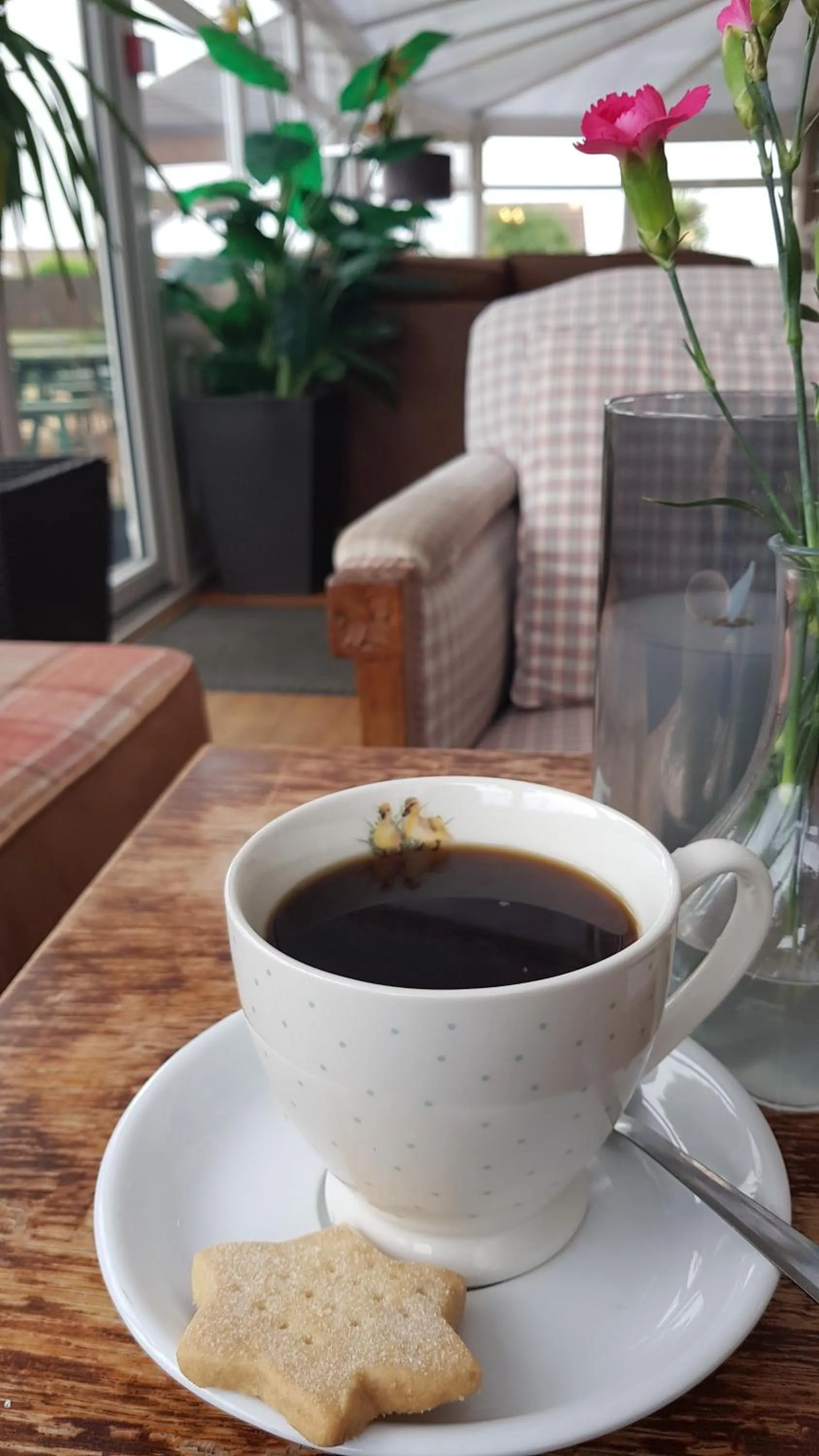 Restaurant/places to eat in The Haven Inn Limited