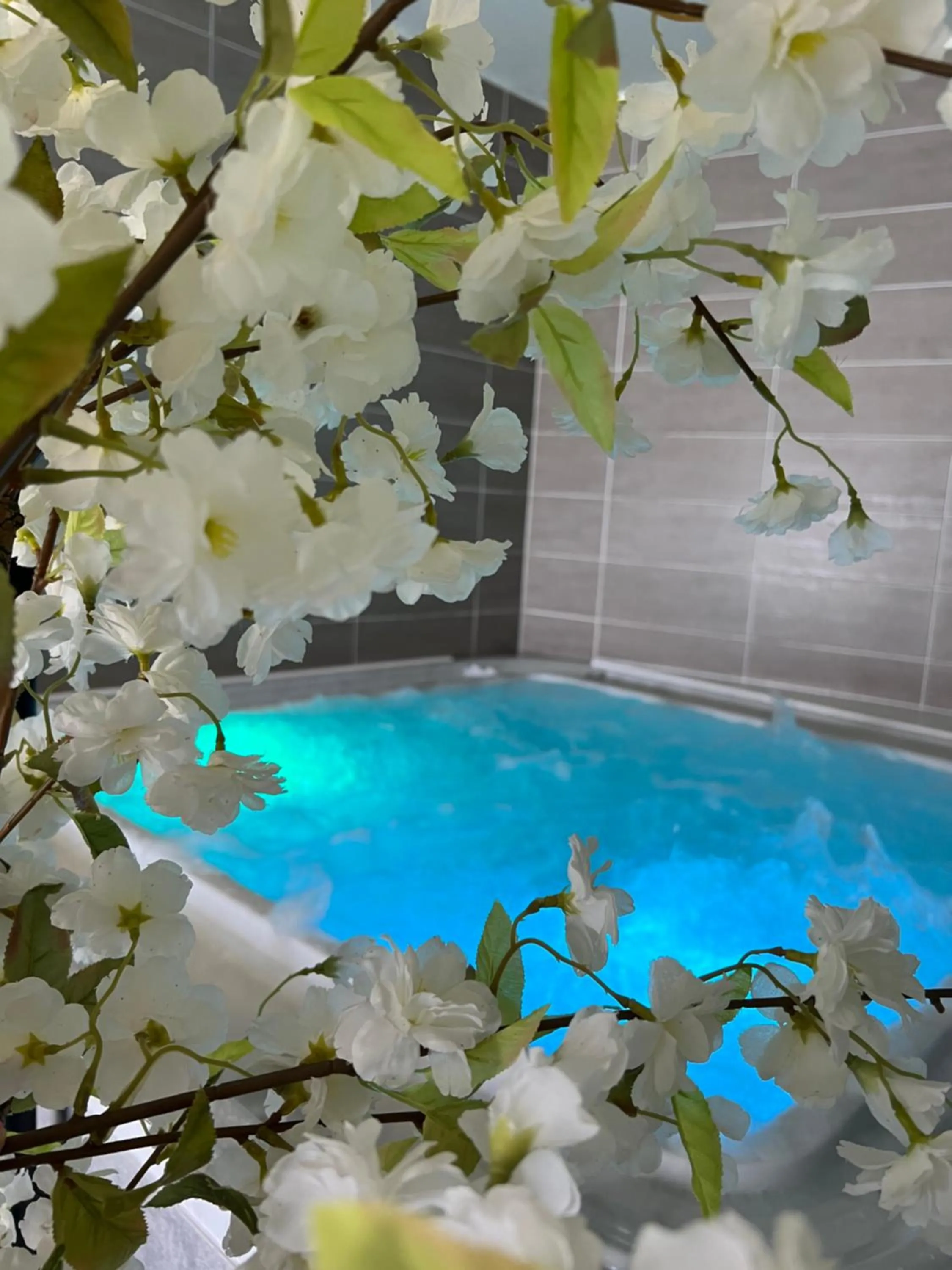 Spa and wellness centre/facilities in Hôtel Calme Des Pins & Spa