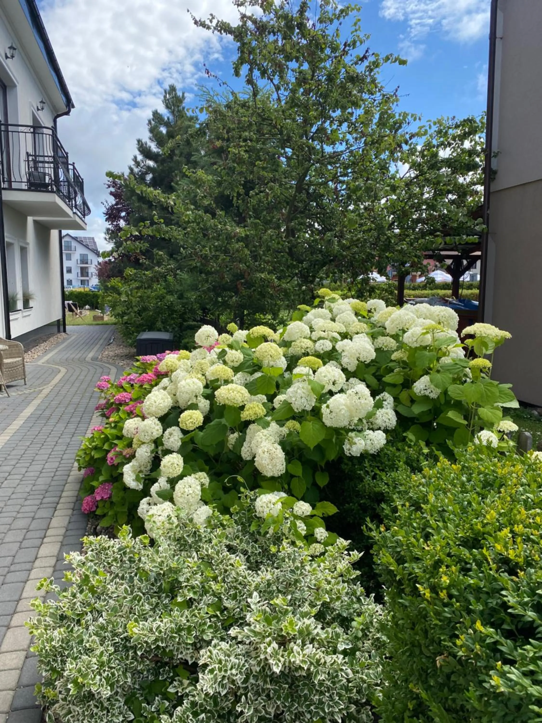 Garden in Willa Atena