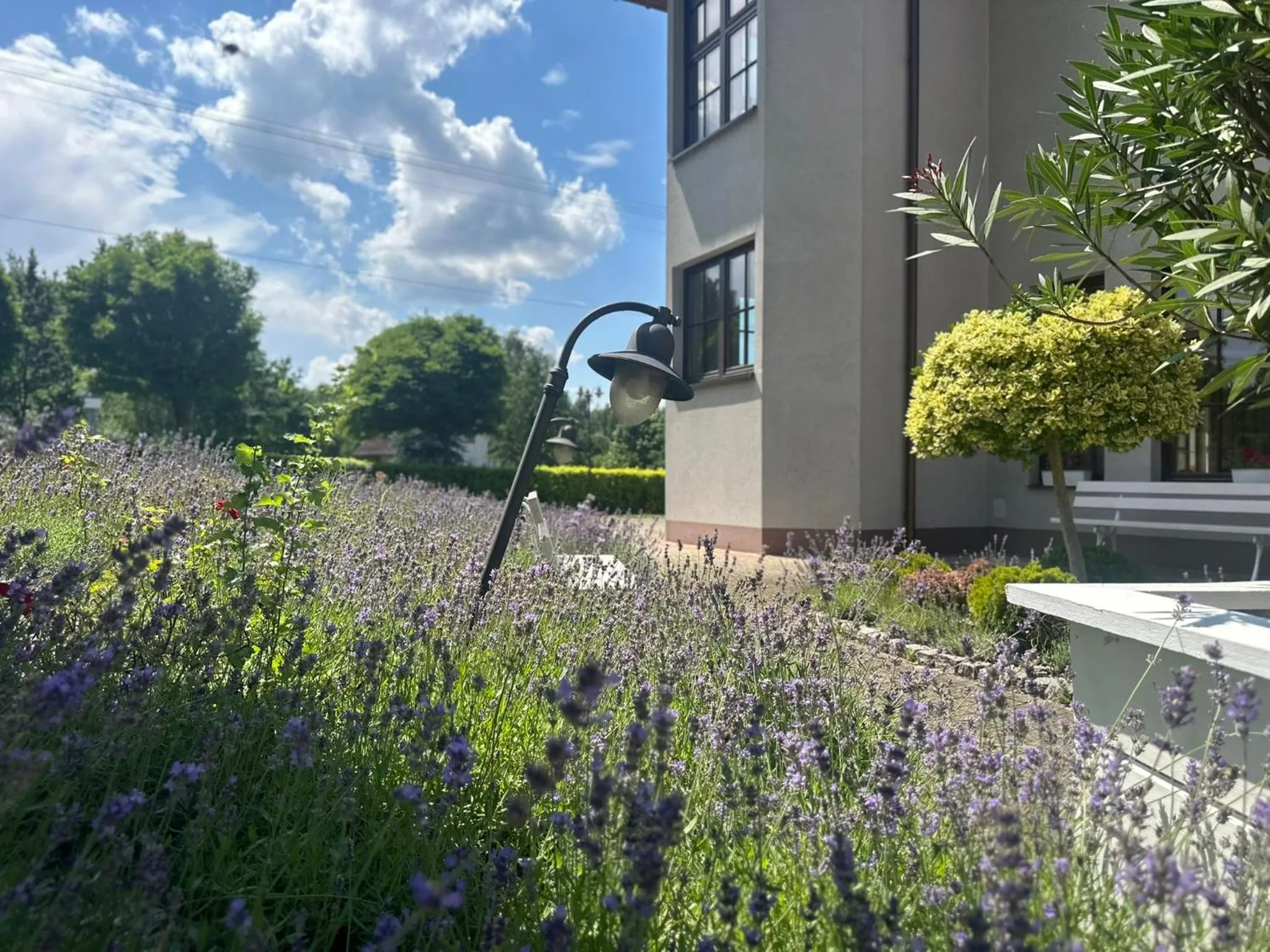 Spring in Hotel Dudek