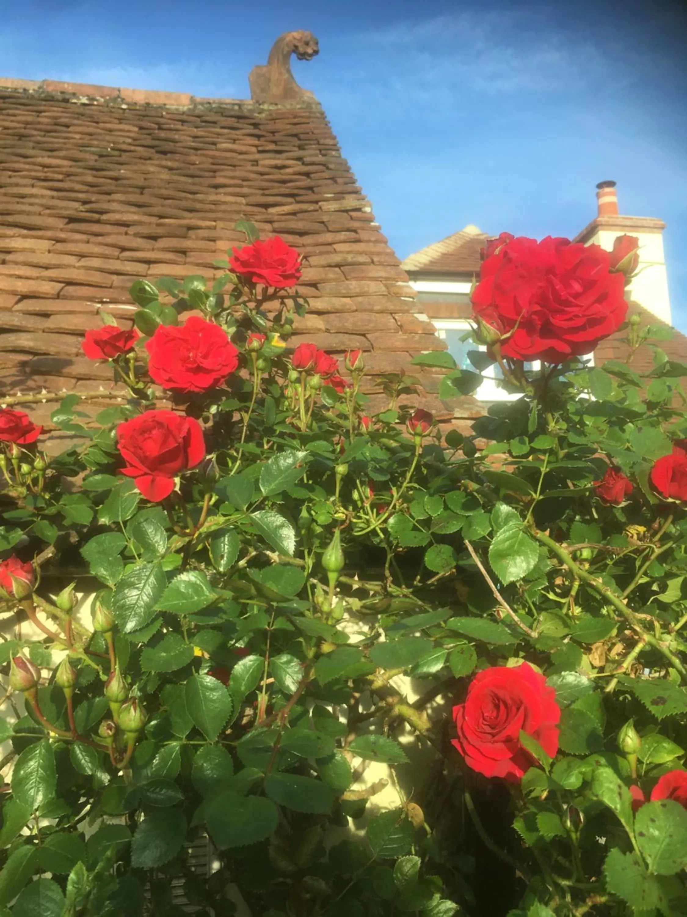 Woodlands Cottage Farm