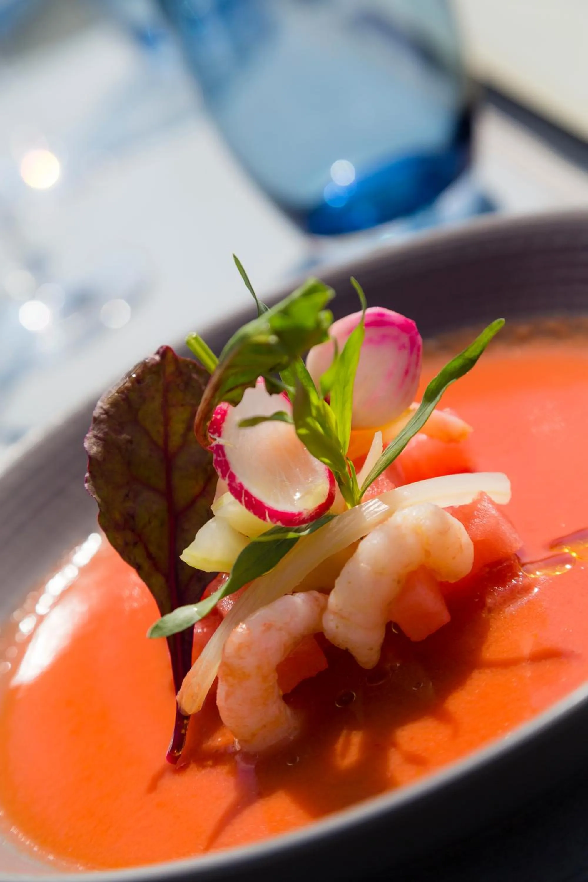 Food and drinks in Thalazur Antibes - Hôtel & Spa