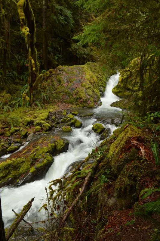 Spring in Terraluna Inn