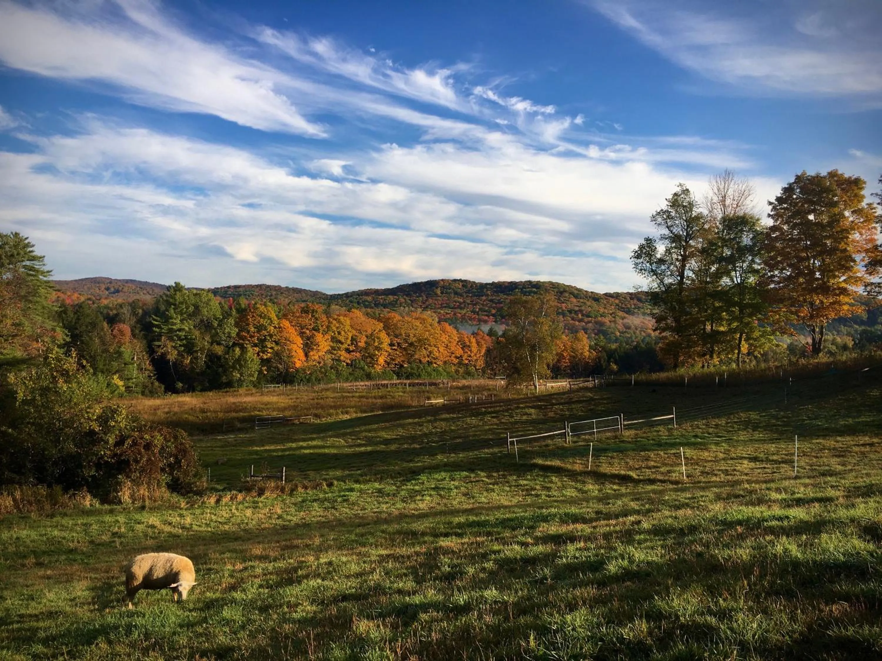 Mountain view in Fat Sheep Farm & Cabins