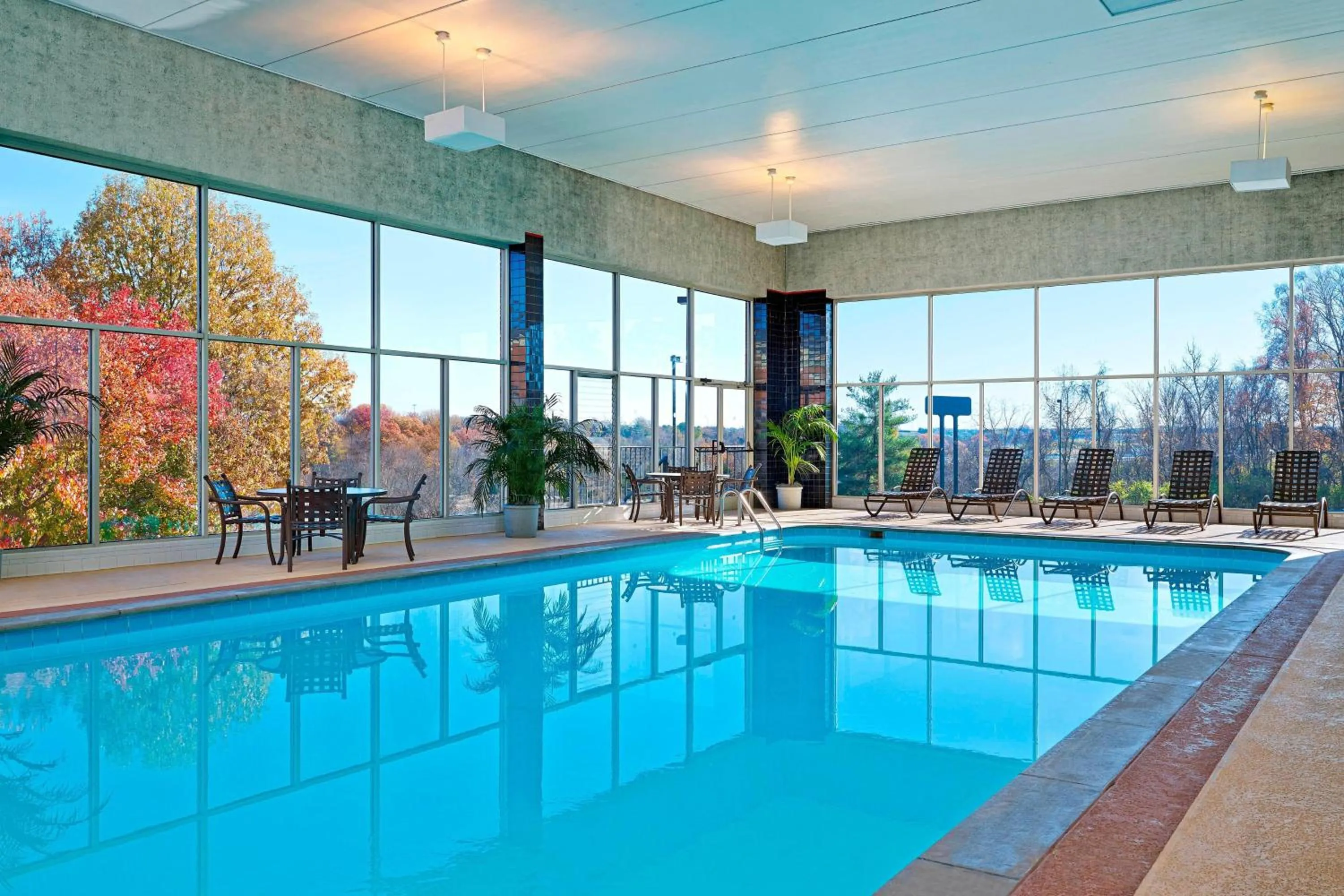 Swimming pool in Sheraton Music City Nashville Airport