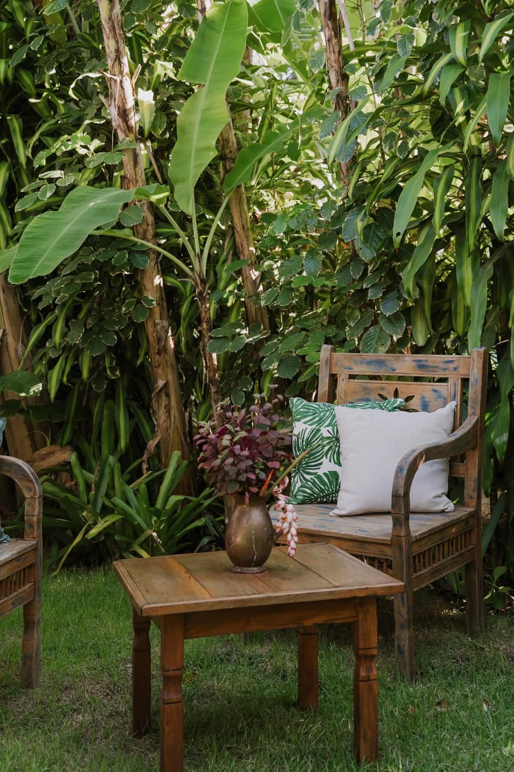 Garden in Aqualtune Pousada