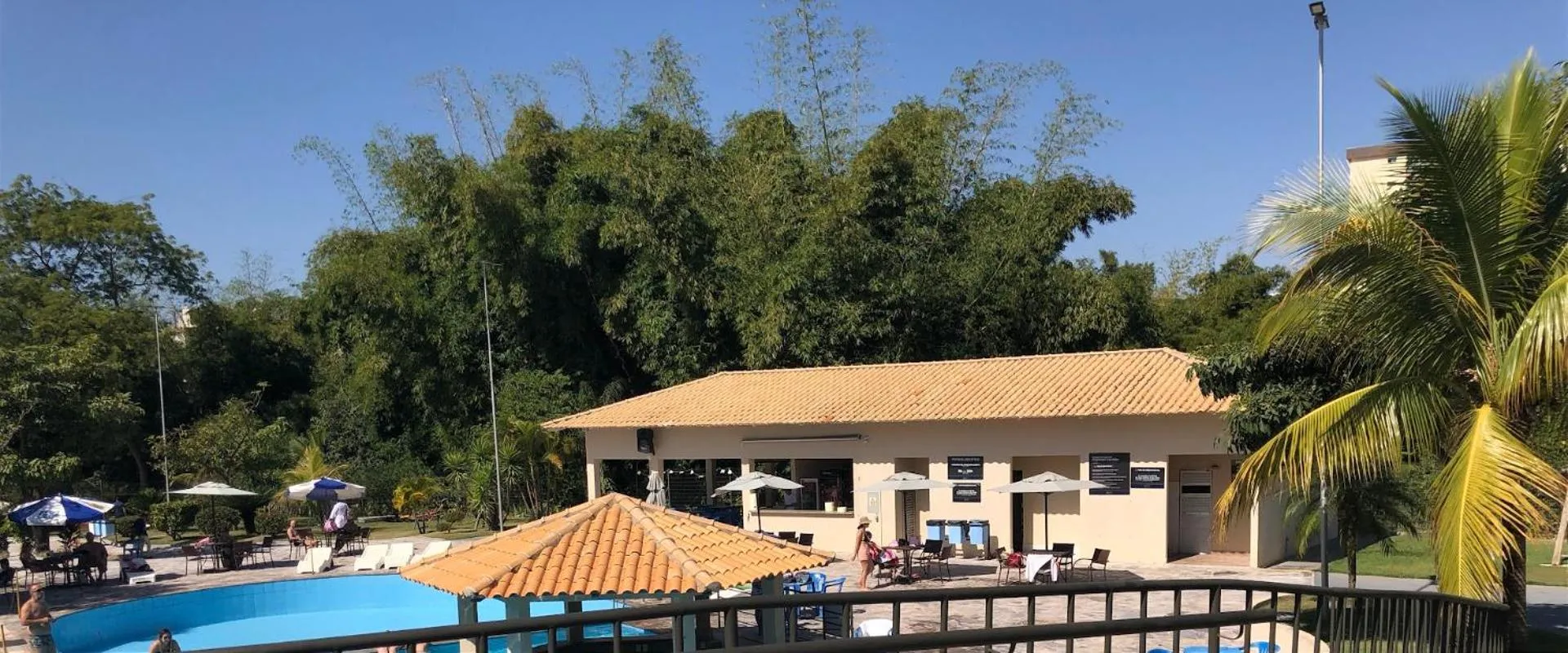 Golden Dolphin Express