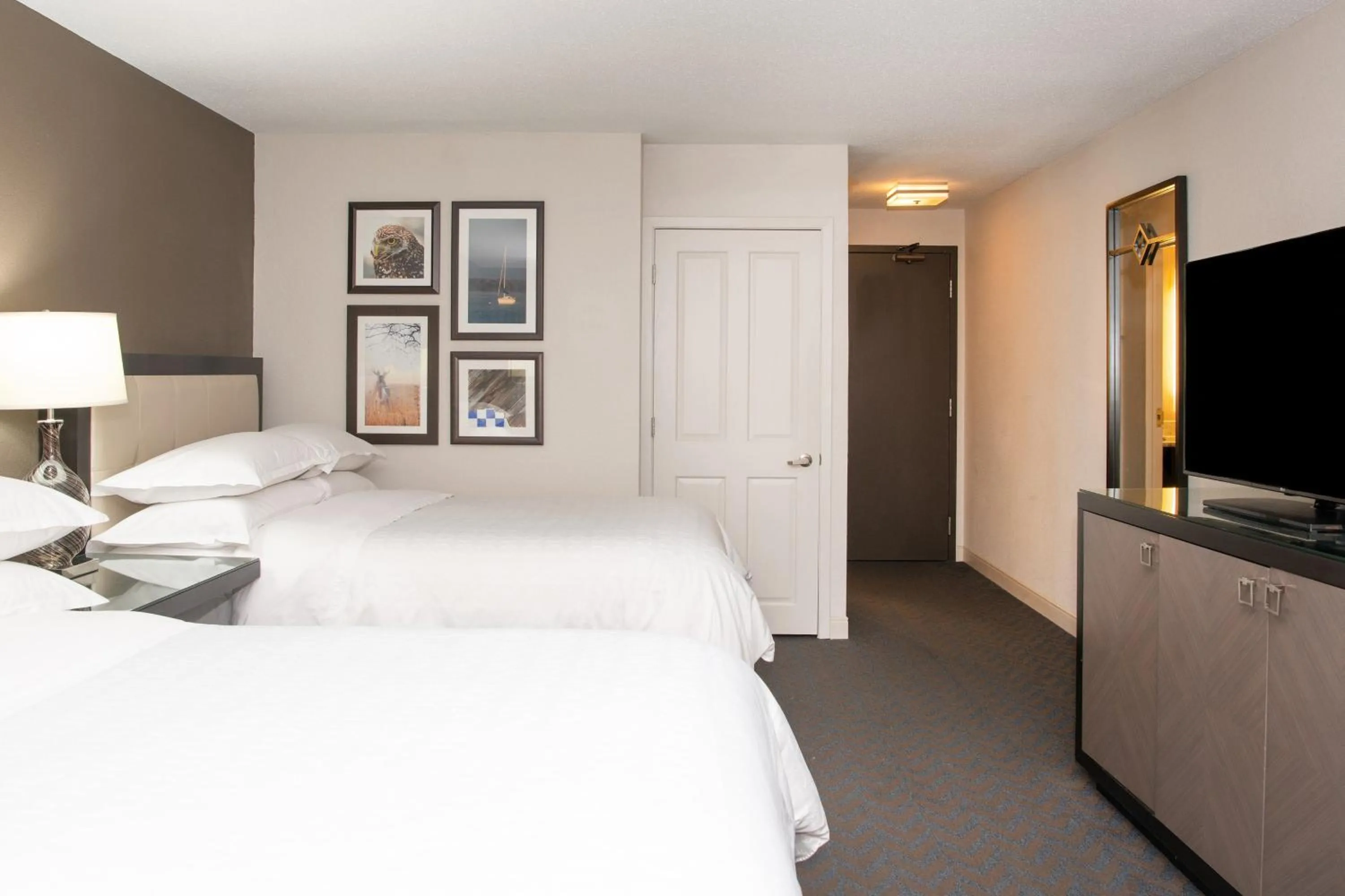 Photo of the whole room, Bed in Sheraton Minneapolis West Hotel