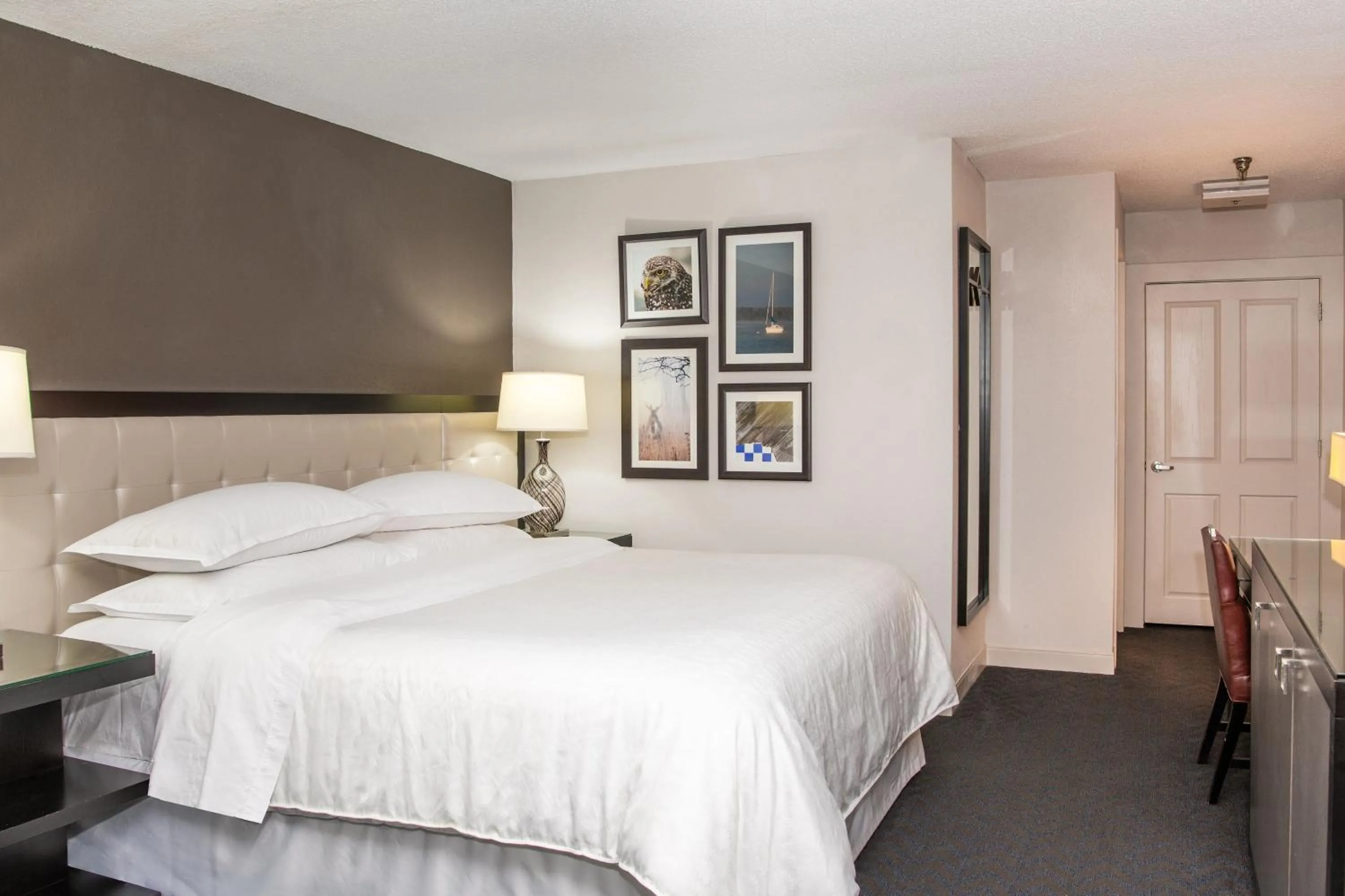 Photo of the whole room, Bed in Sheraton Minneapolis West Hotel