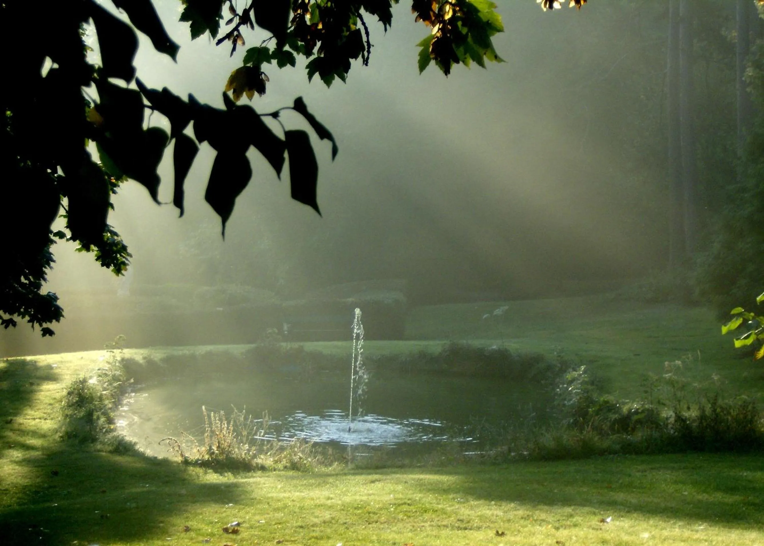 Natural landscape in Le Chateau de Prauthoy