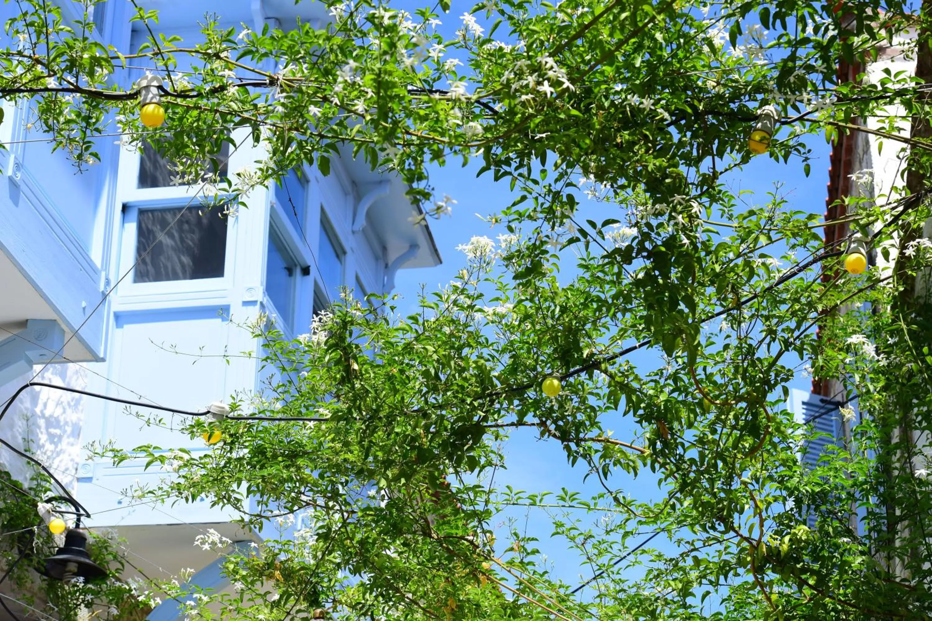 Decorative detail in Maison d'Azur Alaçatı