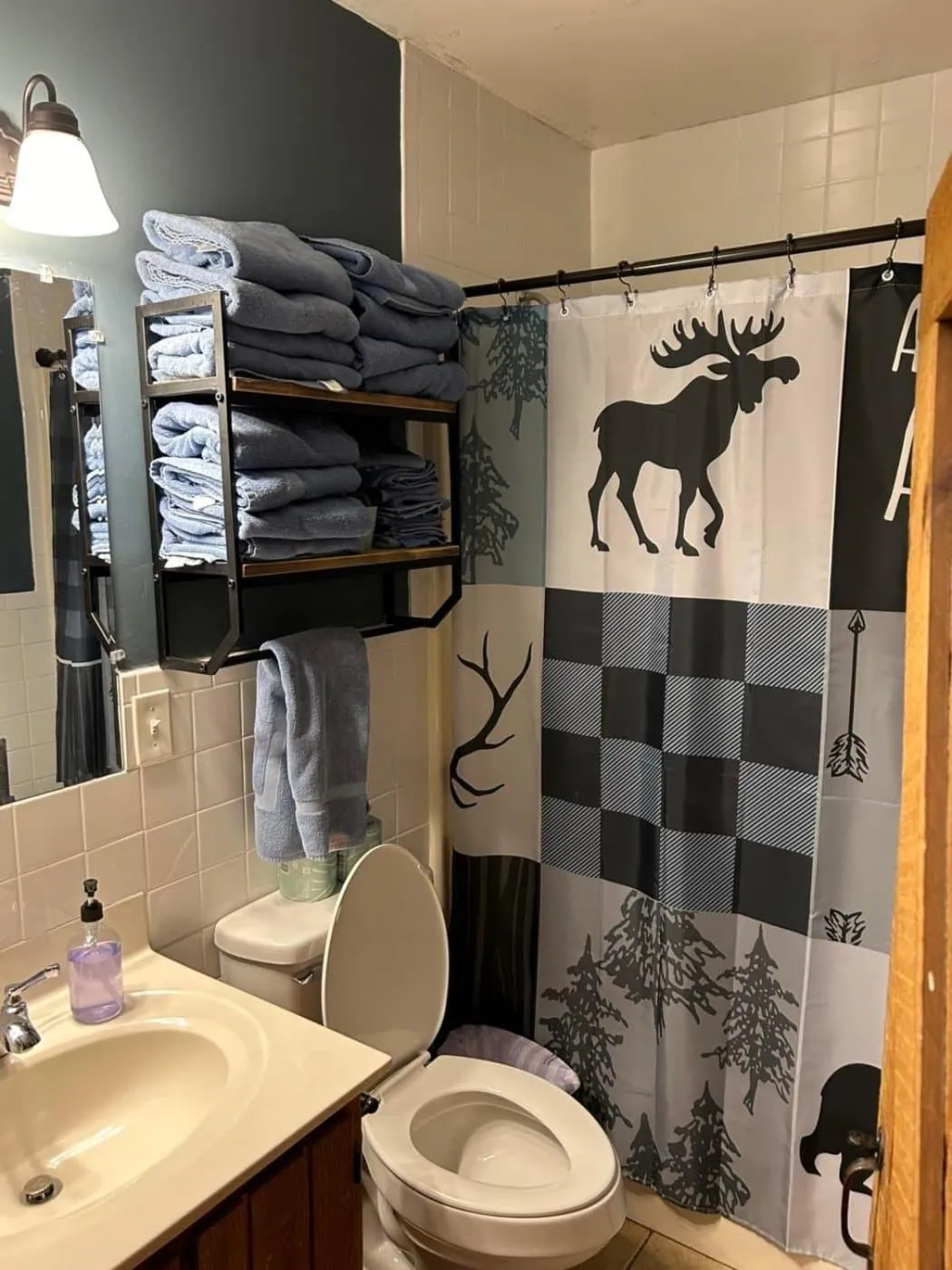 Bathroom in Springmaid Mountain Retreat & Stables