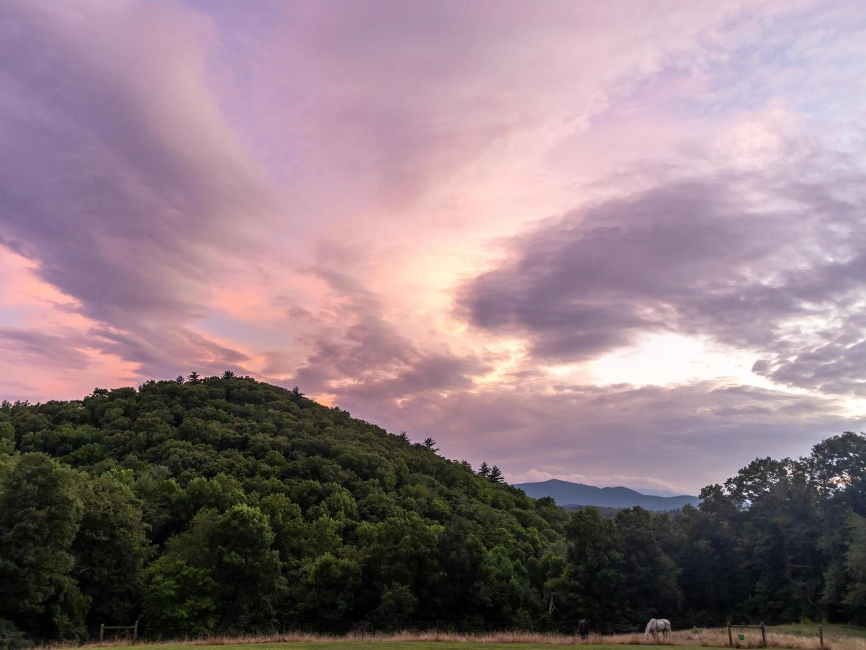 Natural landscape in Springmaid Mountain Retreat & Stables