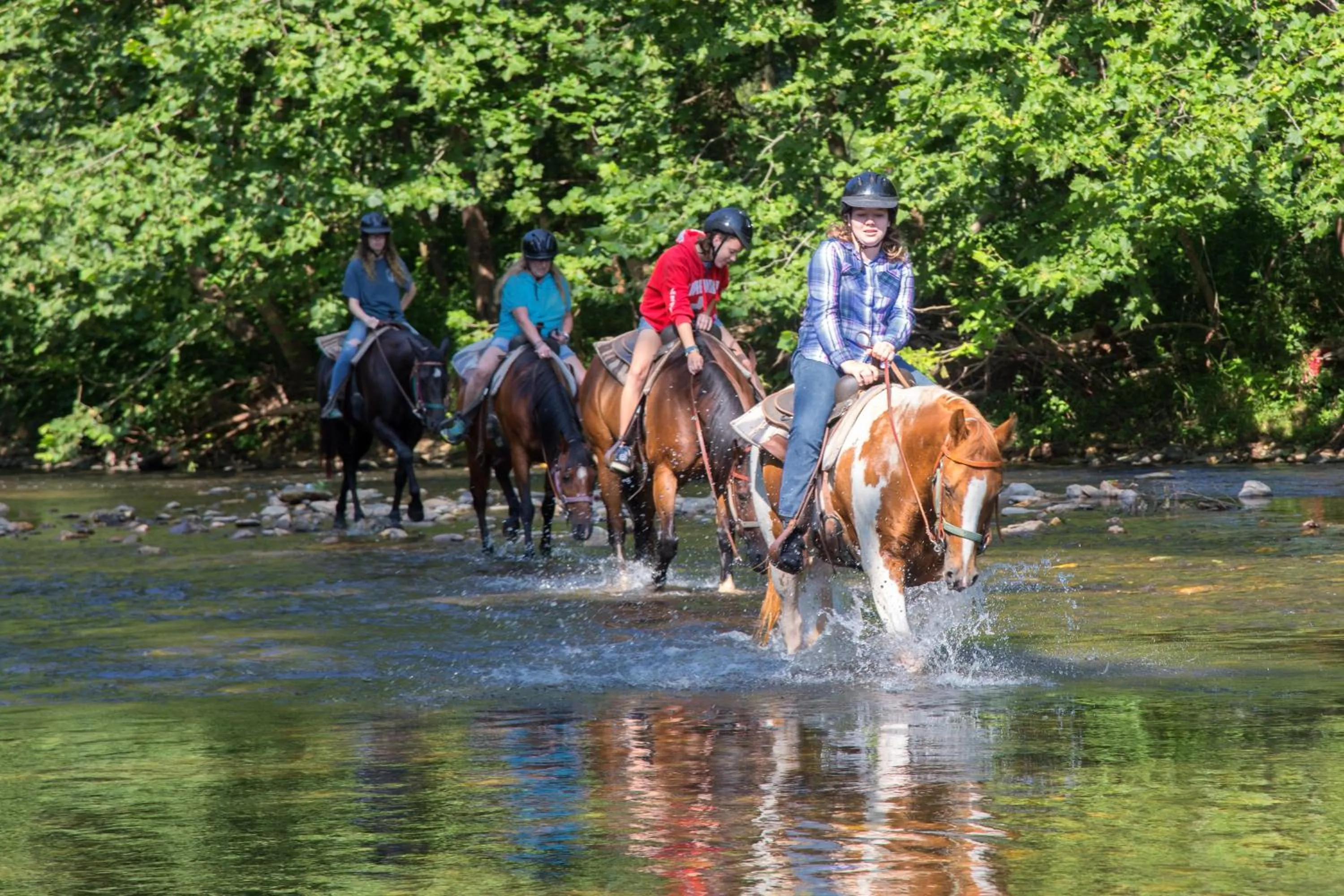 Activities in Springmaid Mountain Retreat & Stables
