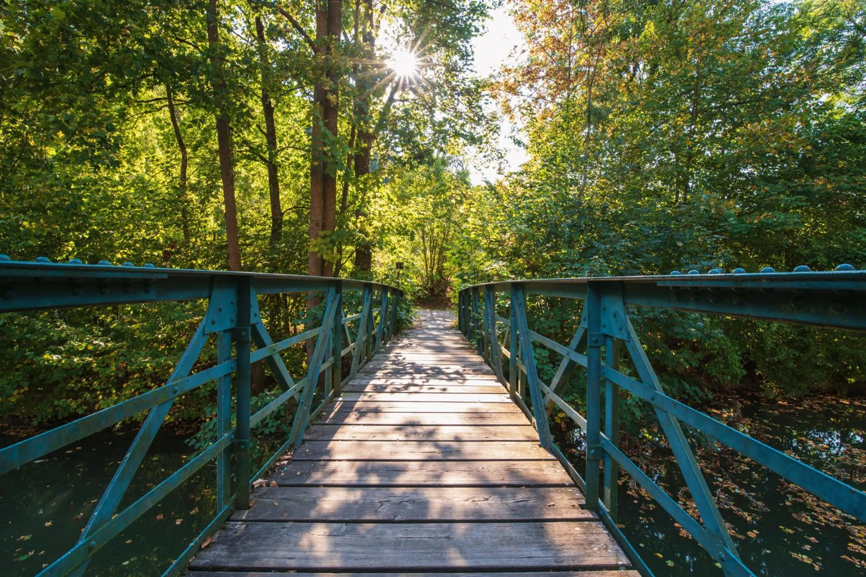 Garden in Wildbad Rothenburg