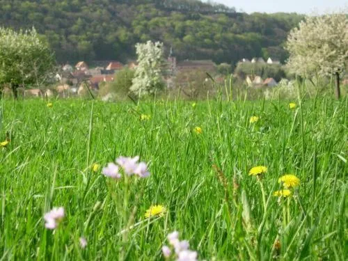 Area and facilities in Logis Hôtel Restaurant Kleiber