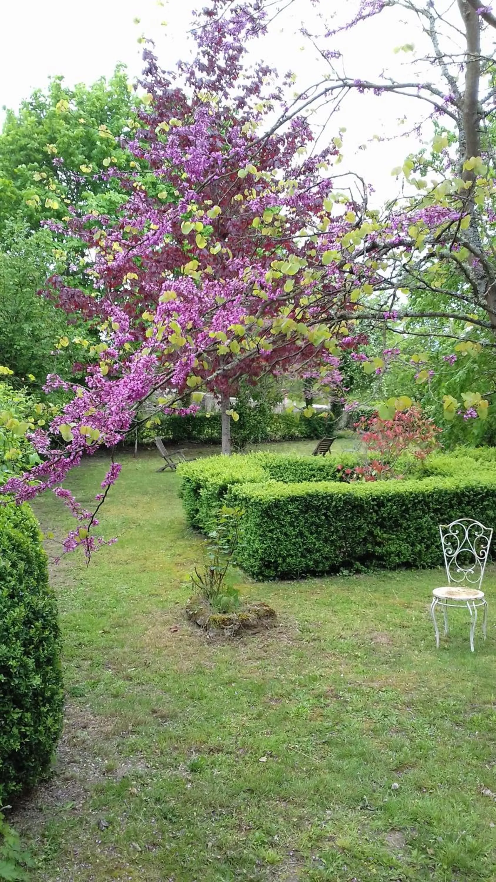 Garden view in Manoir de la Chapelle