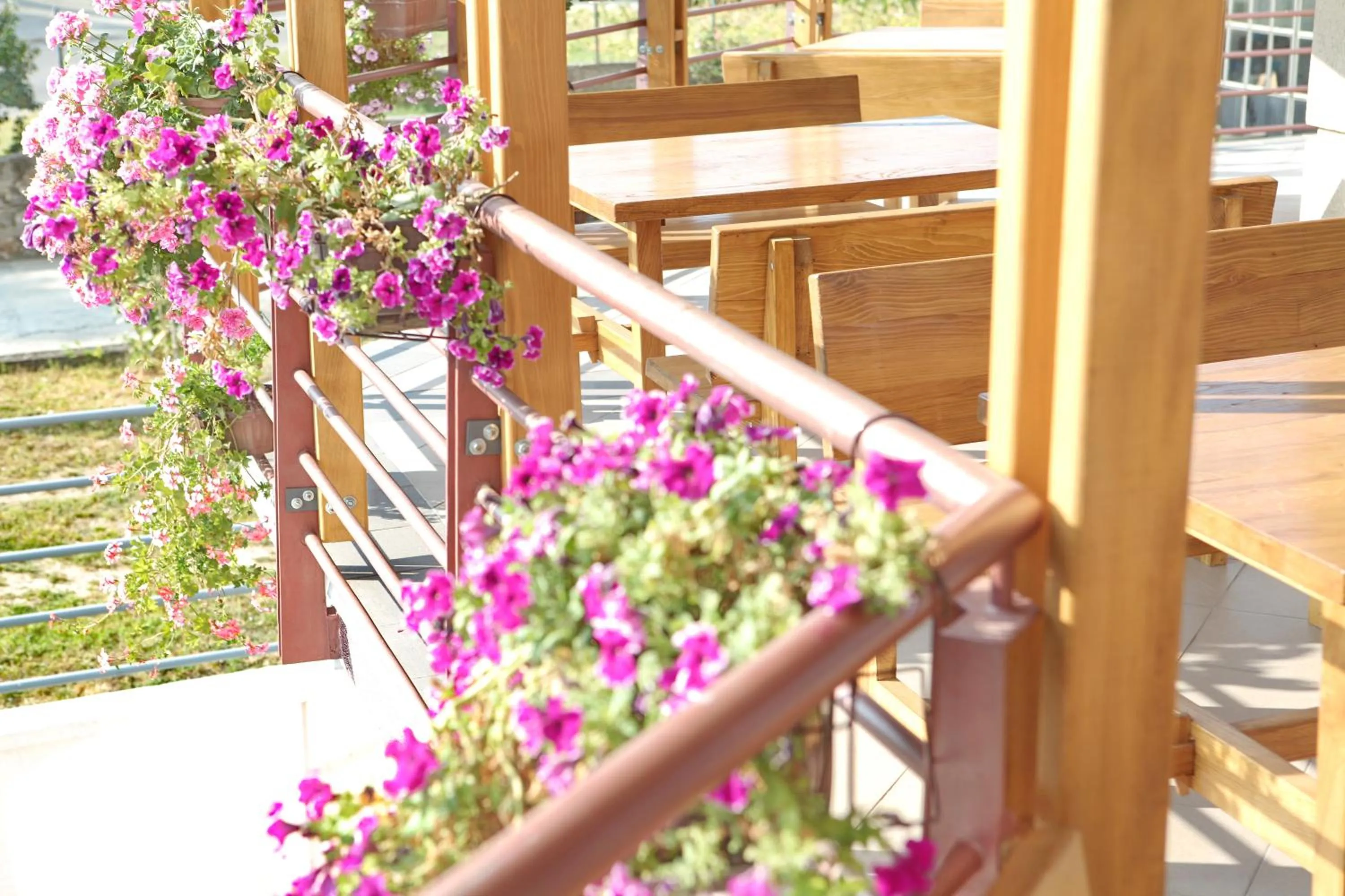 Garden in Hotel Novella Uno