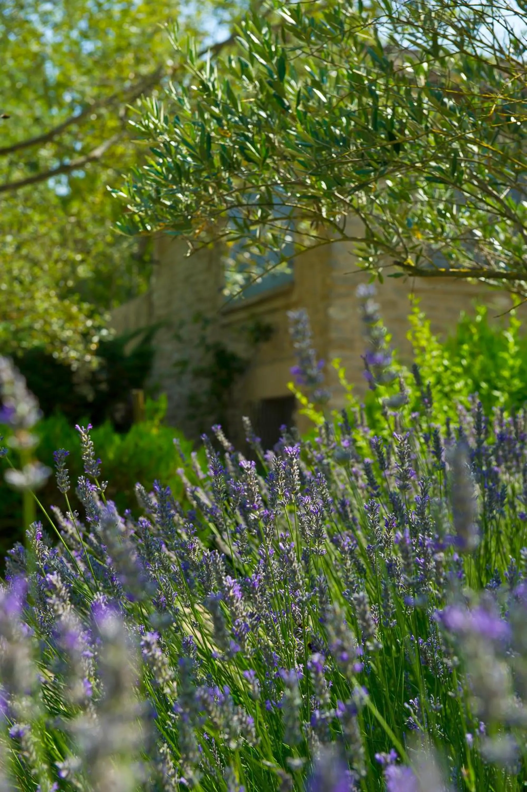 Facade/entrance in Hotel Mas De Cure Bourse