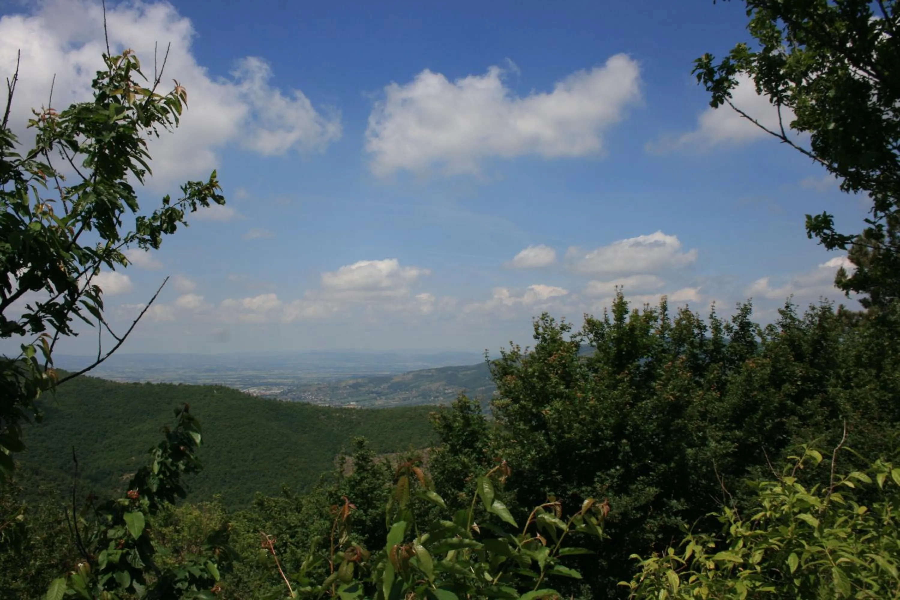 Casetta i Ciliegi