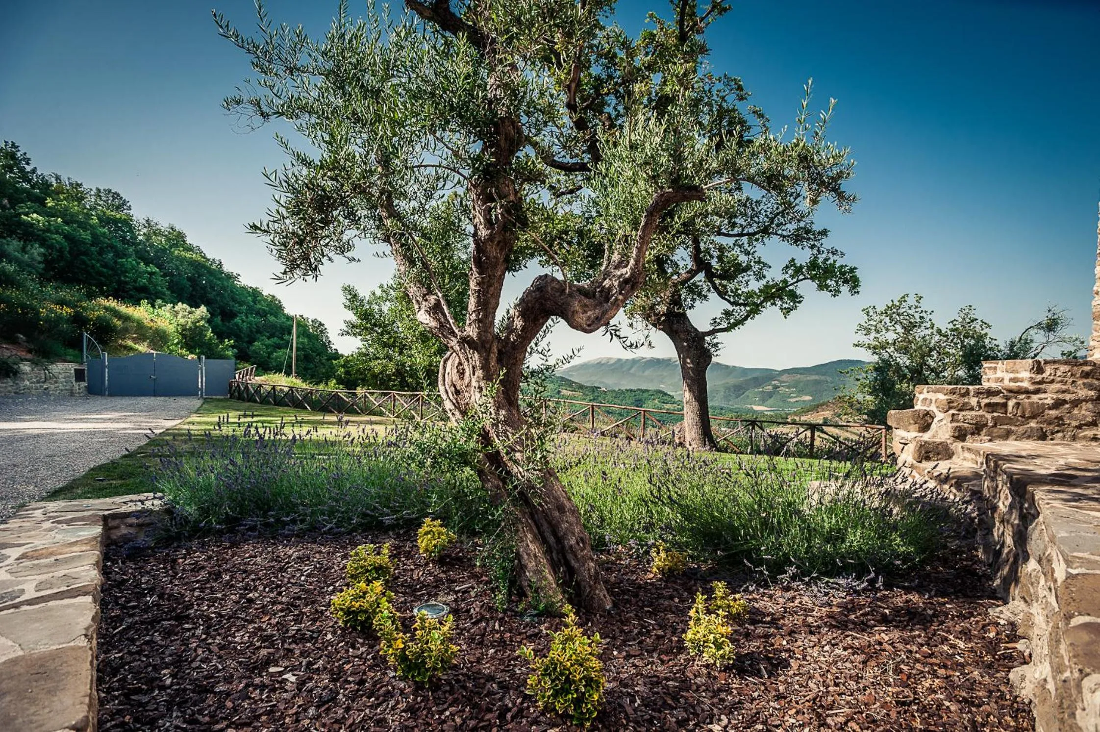 Natural landscape in Nikis Resort